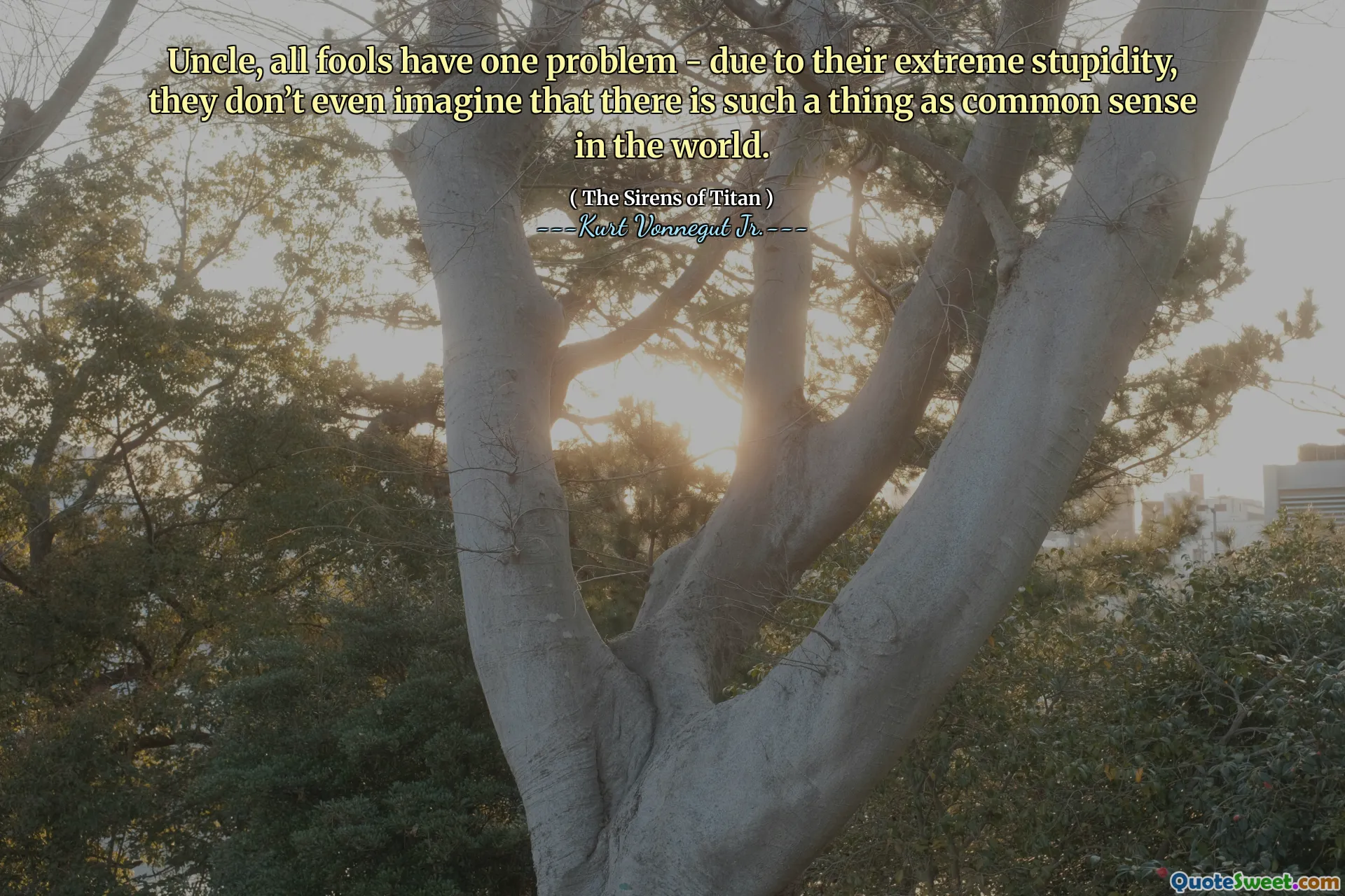 العم ، كل الحمقى لديهم مشكلة واحدة - بسبب غباءهم الشديد ، حتى أنهم لا يتخيلون أن هناك شيئًا مثل الفطرة السليمة في العالم.