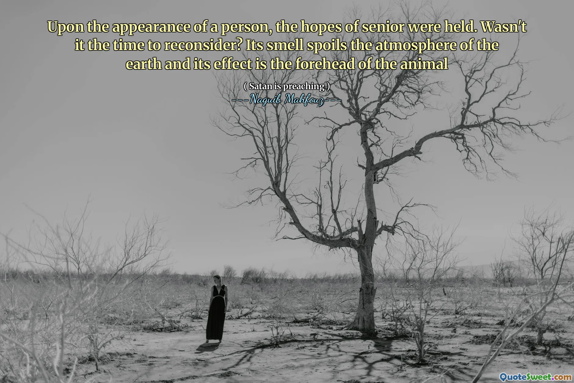 Upon the appearance of a person, the hopes of senior were held. Wasn't it the time to reconsider? Its smell spoils the atmosphere of the earth and its effect is the forehead of the animal