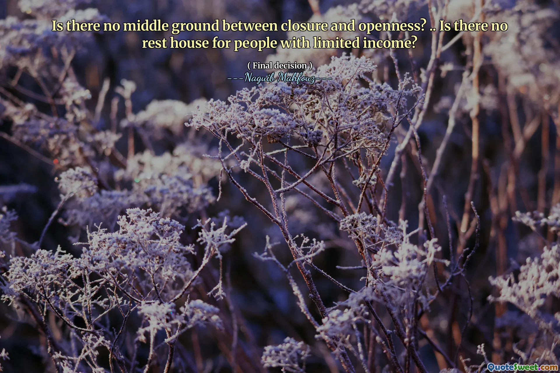 Нет ли среднего уровня между закрытием и открытостью? .. нет дома отдыха для людей с ограниченным доходом?