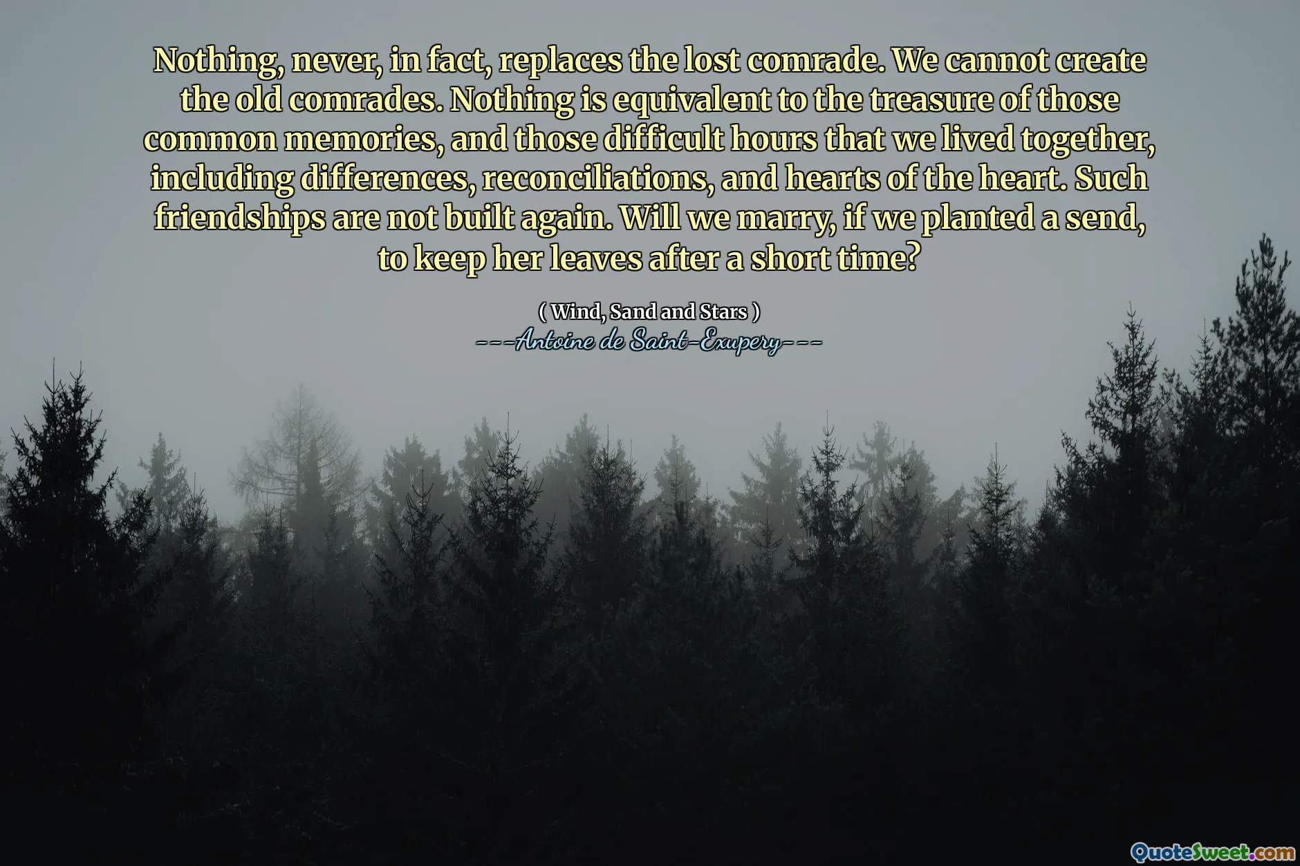Nothing, never, in fact, replaces the lost comrade. We cannot create the old comrades. Nothing is equivalent to the treasure of those common memories, and those difficult hours that we lived together, including differences, reconciliations, and hearts of the heart. Such friendships are not built again. Will we marry, if we planted a send, to keep her leaves after a short time?