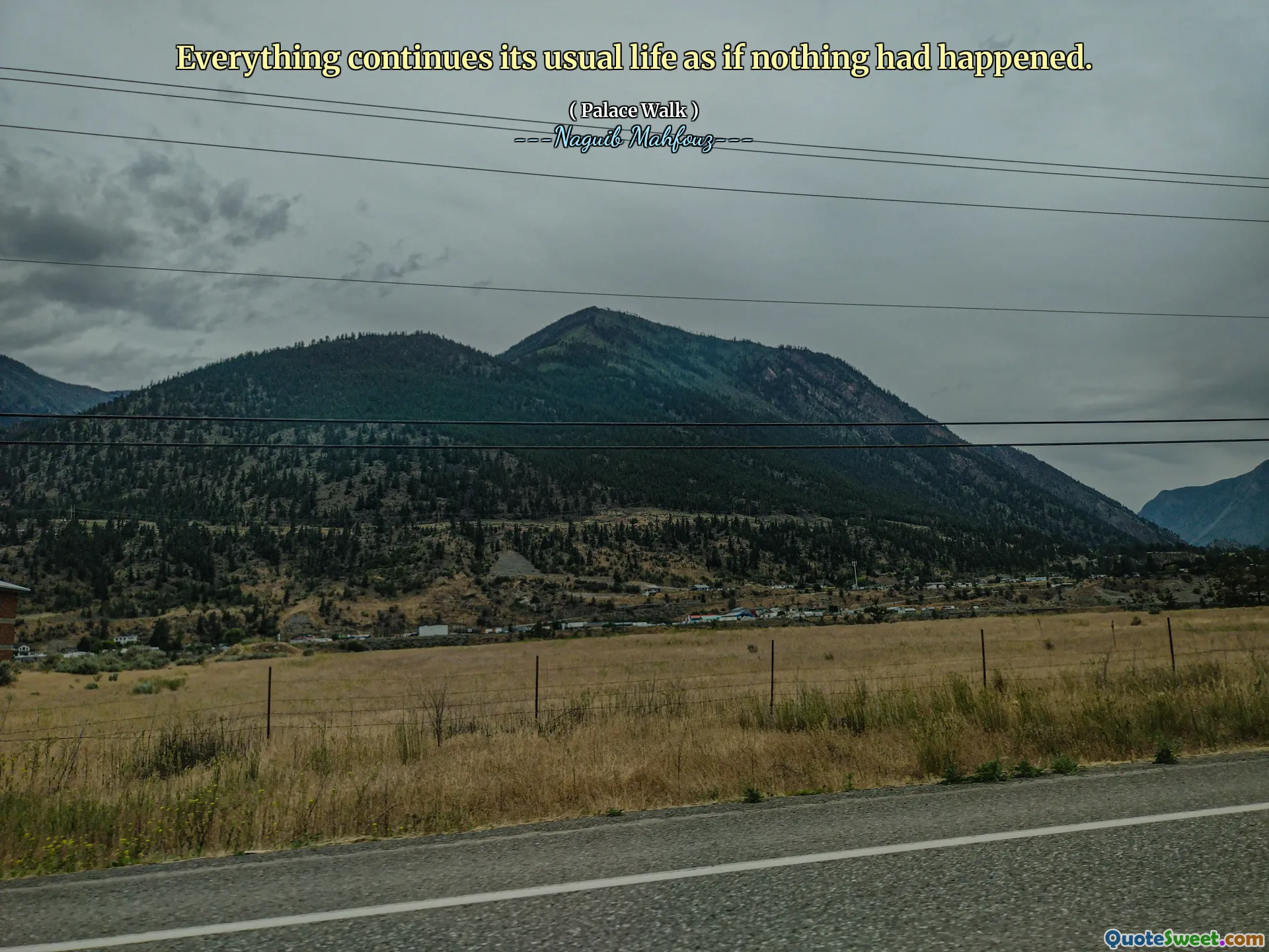 كل شيء يستمر حياته المعتادة كما لو لم يحدث شيء.