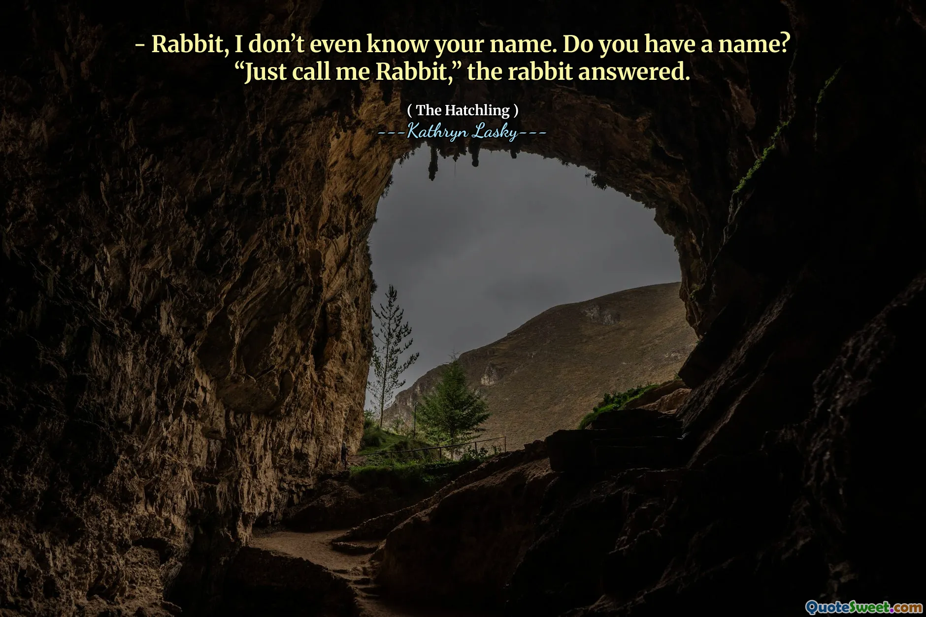 - Rabbit, I don’t even know your name. Do you have a name?
“Just call me Rabbit,” the rabbit answered.
