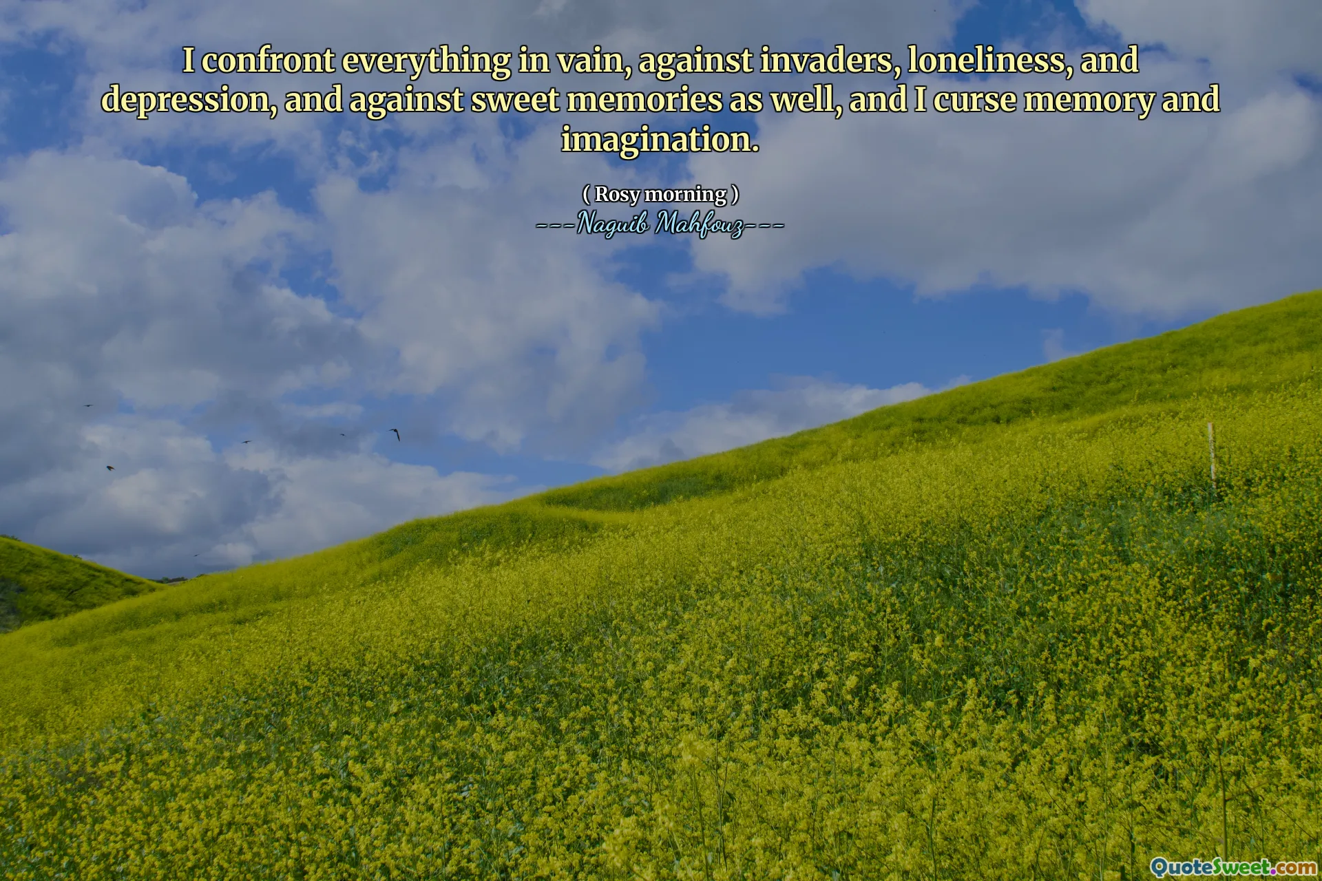 Ik confronteer alles tevergeefs, tegen indringers, eenzaamheid en depressie, en ook tegen zoete herinneringen, en ik vervloek geheugen en verbeelding.