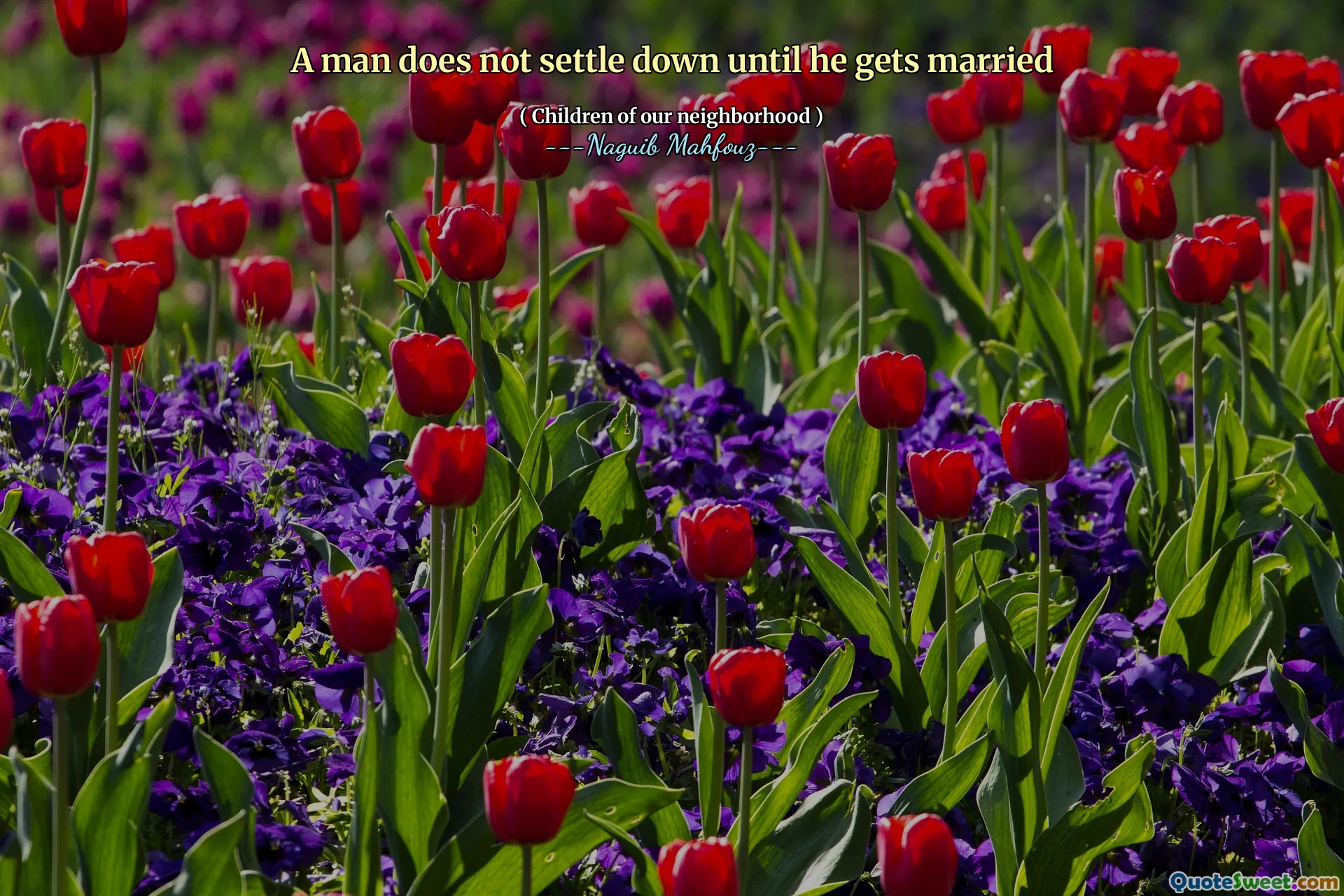 A man does not settle down until he gets married
