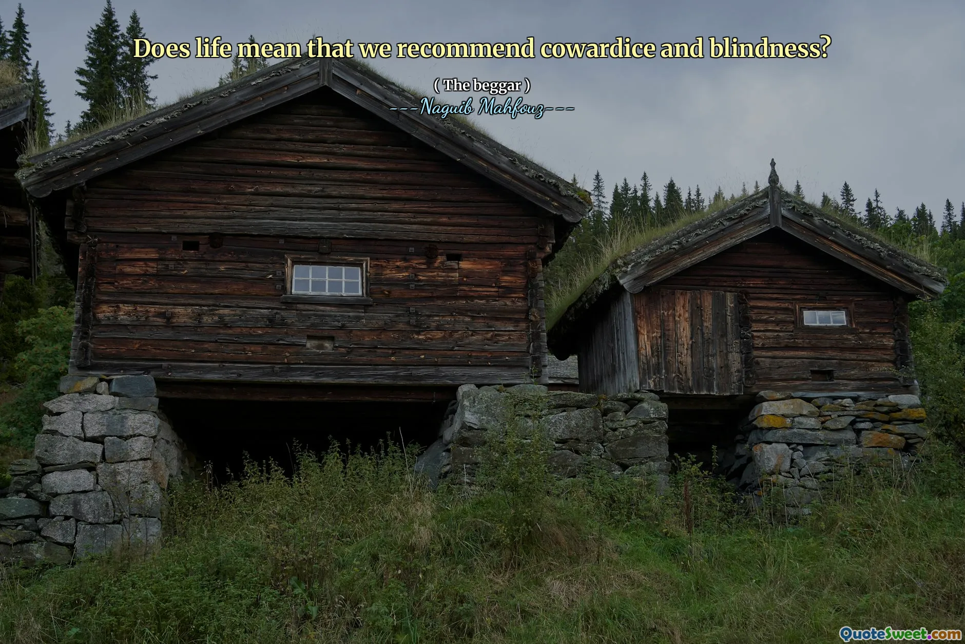 Does life mean that we recommend cowardice and blindness?