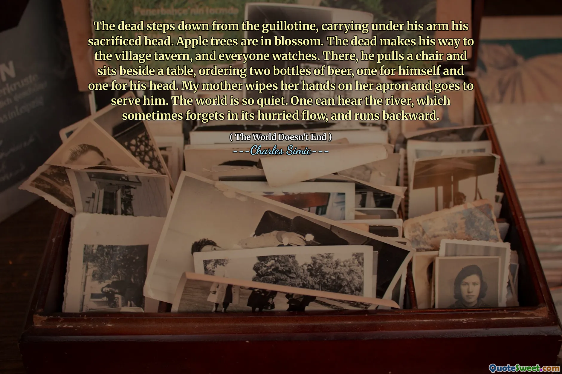 The dead steps down from the guillotine, carrying under his arm his sacrificed head. Apple trees are in blossom. The dead makes his way to the village tavern, and everyone watches. There, he pulls a chair and sits beside a table, ordering two bottles of beer, one for himself and one for his head. My mother wipes her hands on her apron and goes to serve him. The world is so quiet. One can hear the river, which sometimes forgets in its hurried flow, and runs backward.
