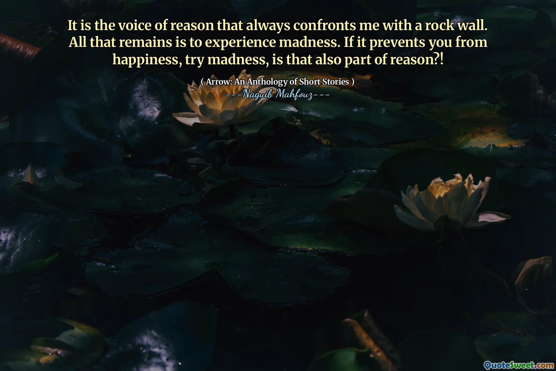 Đó là tiếng nói của lý do luôn đối mặt với tôi bằng một bức tường đá. Tất cả những gì còn lại là để trải nghiệm sự điên rồ. Nếu nó ngăn bạn khỏi hạnh phúc, hãy thử điên rồ, đó cũng là một phần lý do ?!