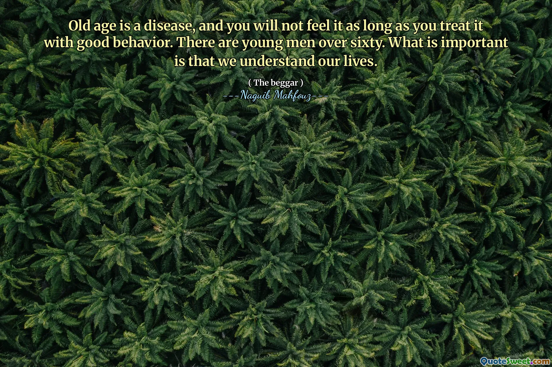Old age is a disease, and you will not feel it as long as you treat it with good behavior. There are young men over sixty. What is important is that we understand our lives.