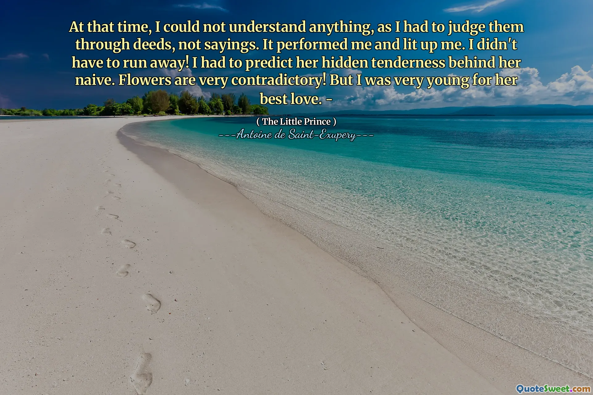 At that time, I could not understand anything, as I had to judge them through deeds, not sayings. It performed me and lit up me. I didn't have to run away! I had to predict her hidden tenderness behind her naive. Flowers are very contradictory! But I was very young for her best love. -