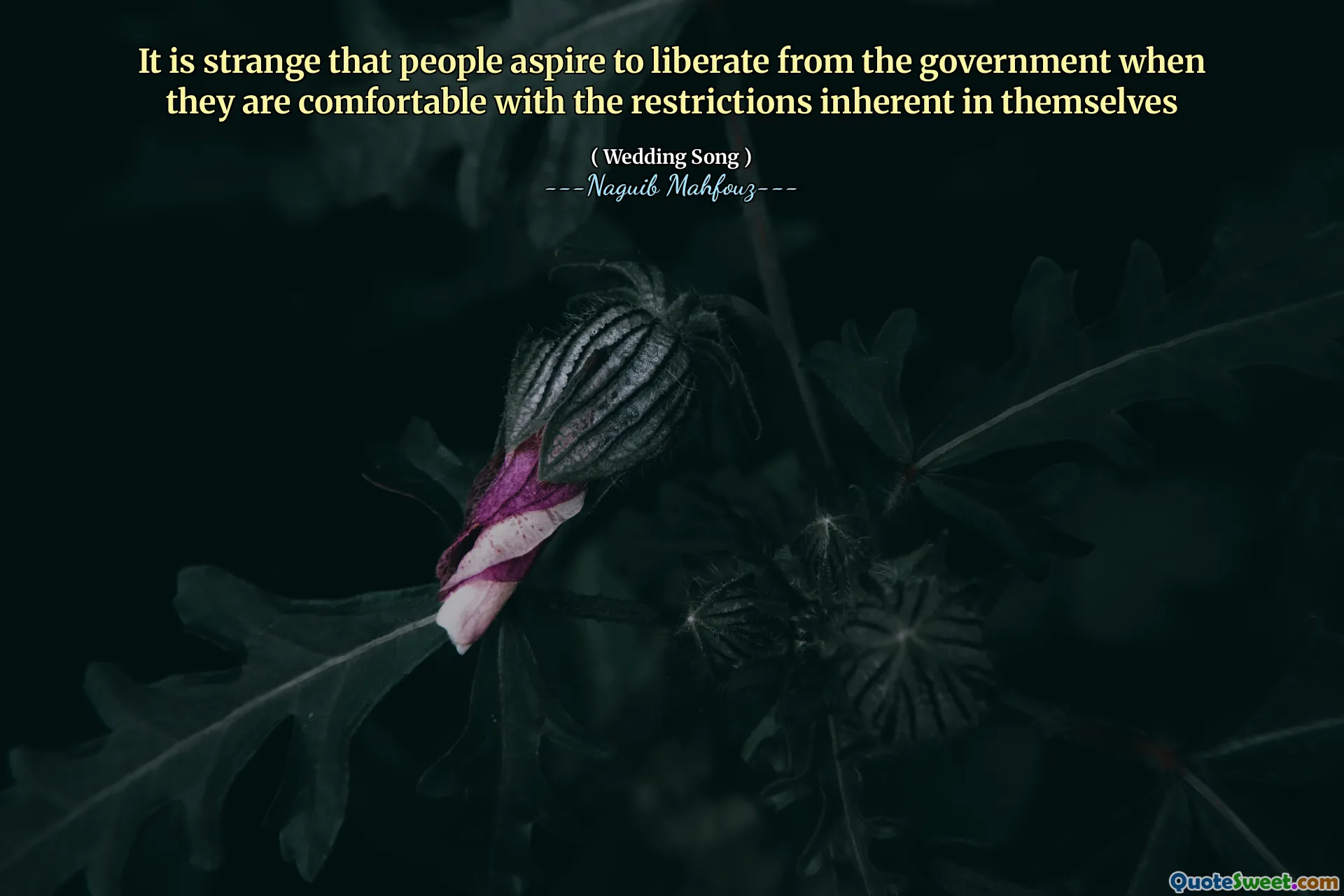 Странно, что люди стремятся освободиться от правительства, когда им удобно с ограничениями, присущими самим собой