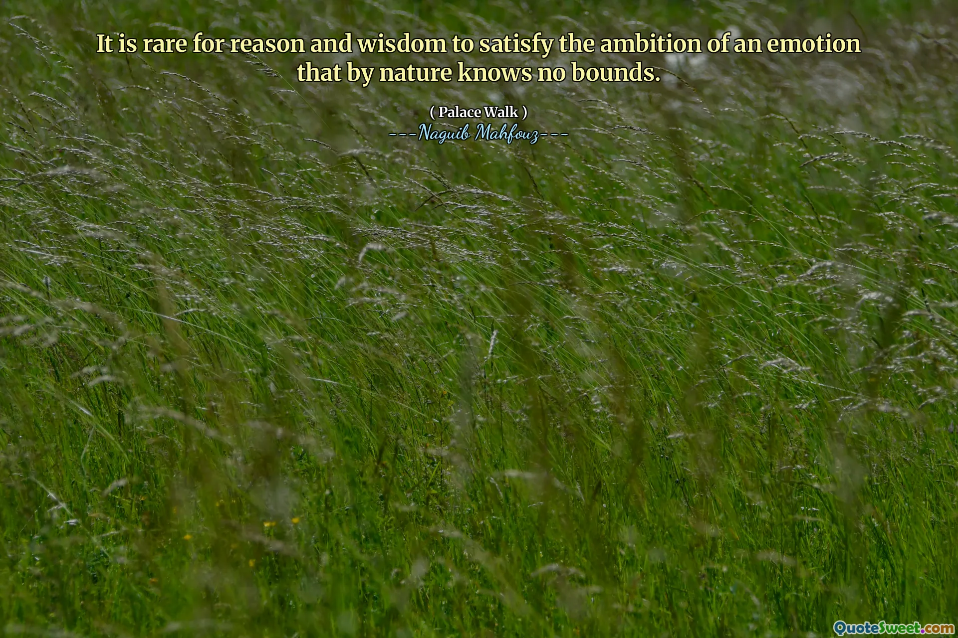 Es ist selten aus Vernunft und Weisheit, den Ehrgeiz einer Emotion zu befriedigen, die von Natur aus keine Grenzen kennt.