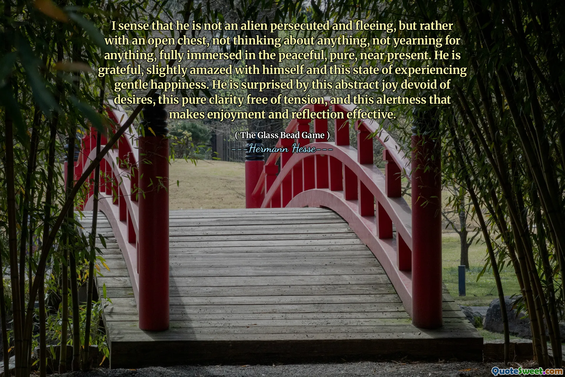I sense that he is not an alien persecuted and fleeing, but rather with an open chest, not thinking about anything, not yearning for anything, fully immersed in the peaceful, pure, near present. He is grateful, slightly amazed with himself and this state of experiencing gentle happiness. He is surprised by this abstract joy devoid of desires, this pure clarity free of tension, and this alertness that makes enjoyment and reflection effective.