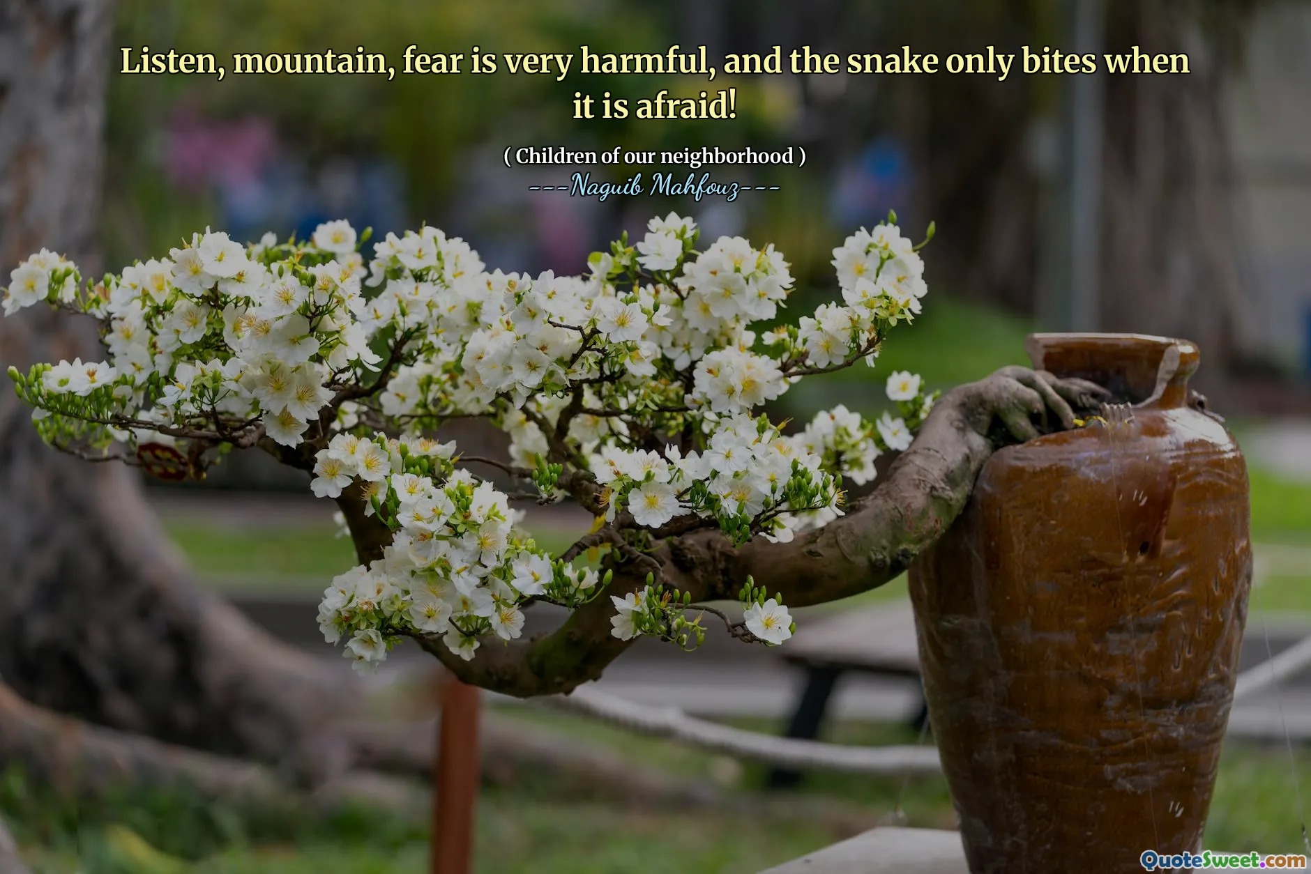 听着，山，恐惧是非常有害的，蛇只会在恐惧时咬！