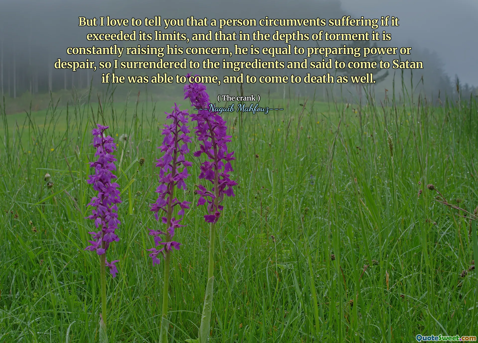 Но я люблю говорить вам, что человек обходит страдания, если он превышает его пределы, и что в глубине мучений он постоянно повышает его заботу, он равен подготовке власти или отчаяния, поэтому я сдался ингредиентам и сказал, что он пришел к сатане, если он сможет прийти и прийти в смерть.