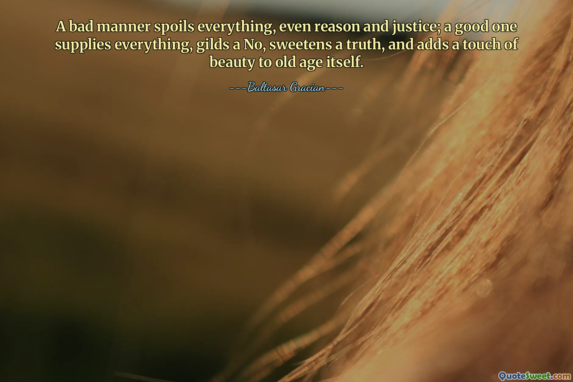A bad manner spoils everything, even reason and justice; a good one supplies everything, gilds a No, sweetens a truth, and adds a touch of beauty to old age itself.