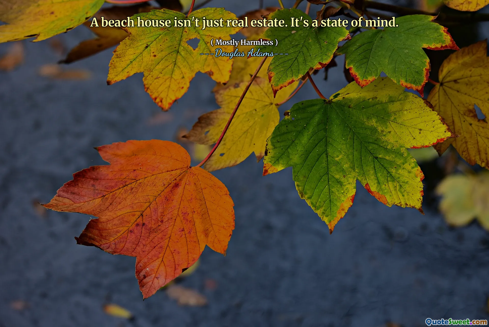 A beach house isn't just real estate. It's a state of mind.