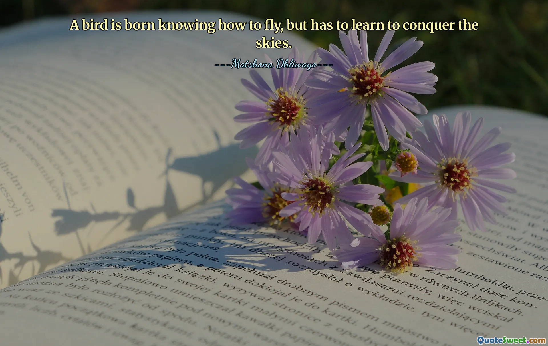 A bird is born knowing how to fly, but has to learn to conquer the skies.