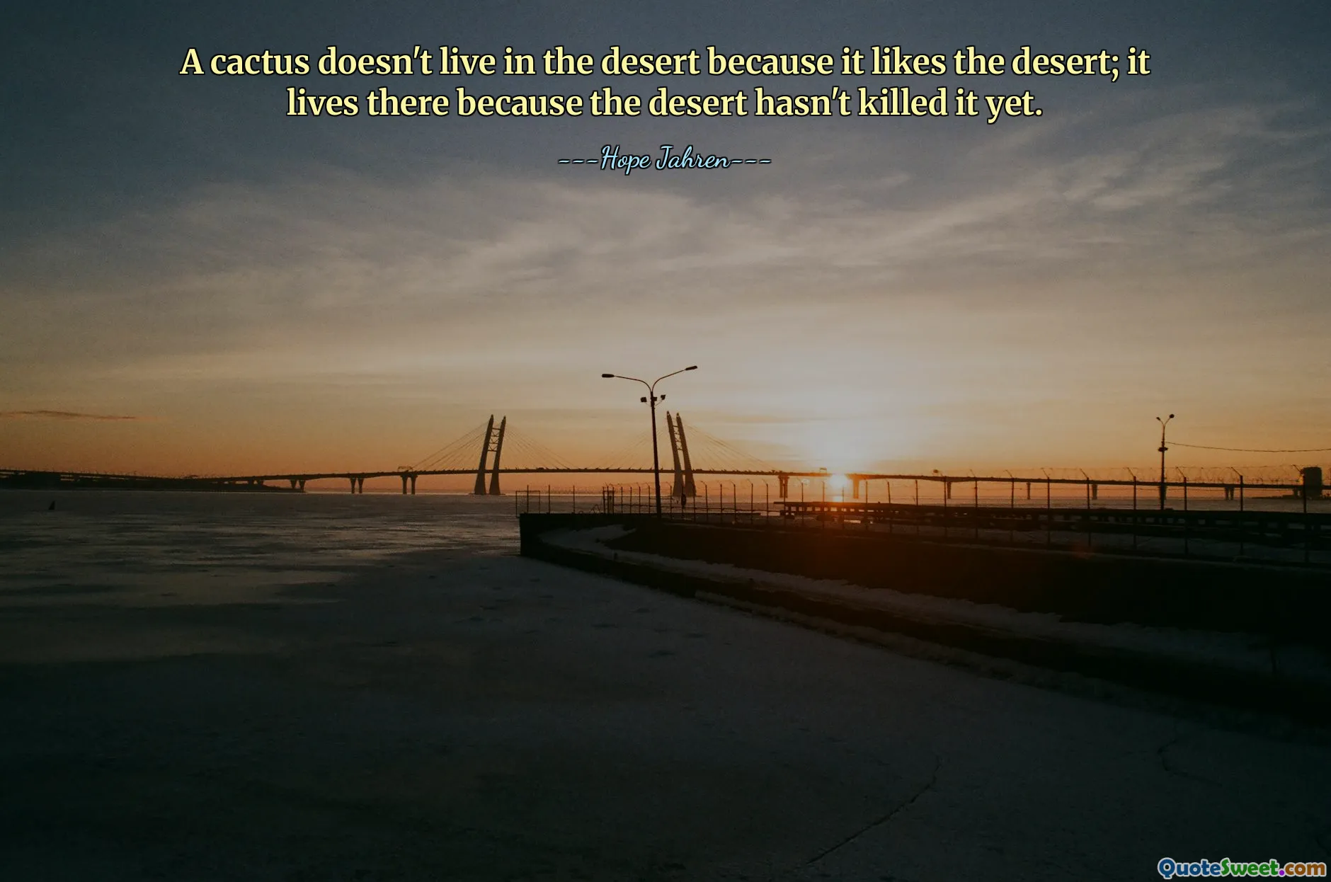 A cactus doesn't live in the desert because it likes the desert; it lives there because the desert hasn't killed it yet.