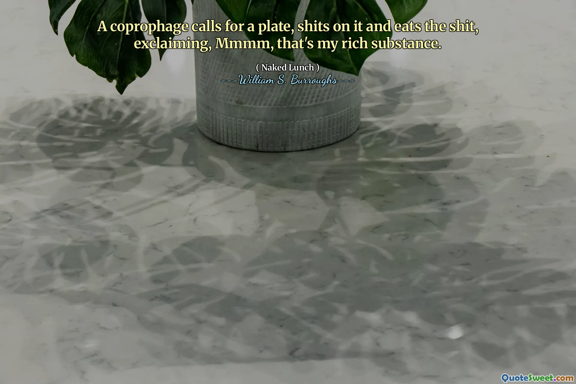 杂菌需要一块盘子，在上面刺s，吃了狗屎，大声喊叫，mmmm，那是我的丰富物质。