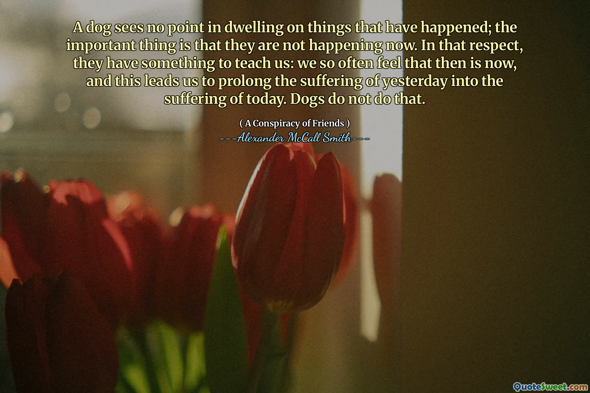 En hund ser ingen mening med att bo på saker som har hänt; Det viktiga är att de inte händer nu. I det avseendet har de något att lära oss: vi känner så ofta att det är nu, och detta leder oss till att förlänga igår lidandet i dagens lidande. Hundar gör inte det.