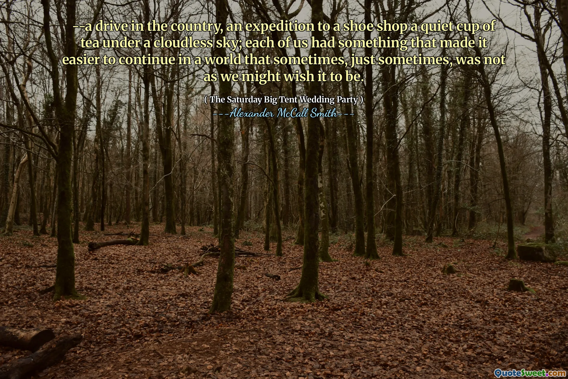 -Un impulso en el país, una expedición a una zapatería una taza de té tranquila debajo de un cielo sin nubes; Cada uno de nosotros tenía algo que hacía más fácil continuar en un mundo que a veces, a veces, no era como podríamos desear que fuera.