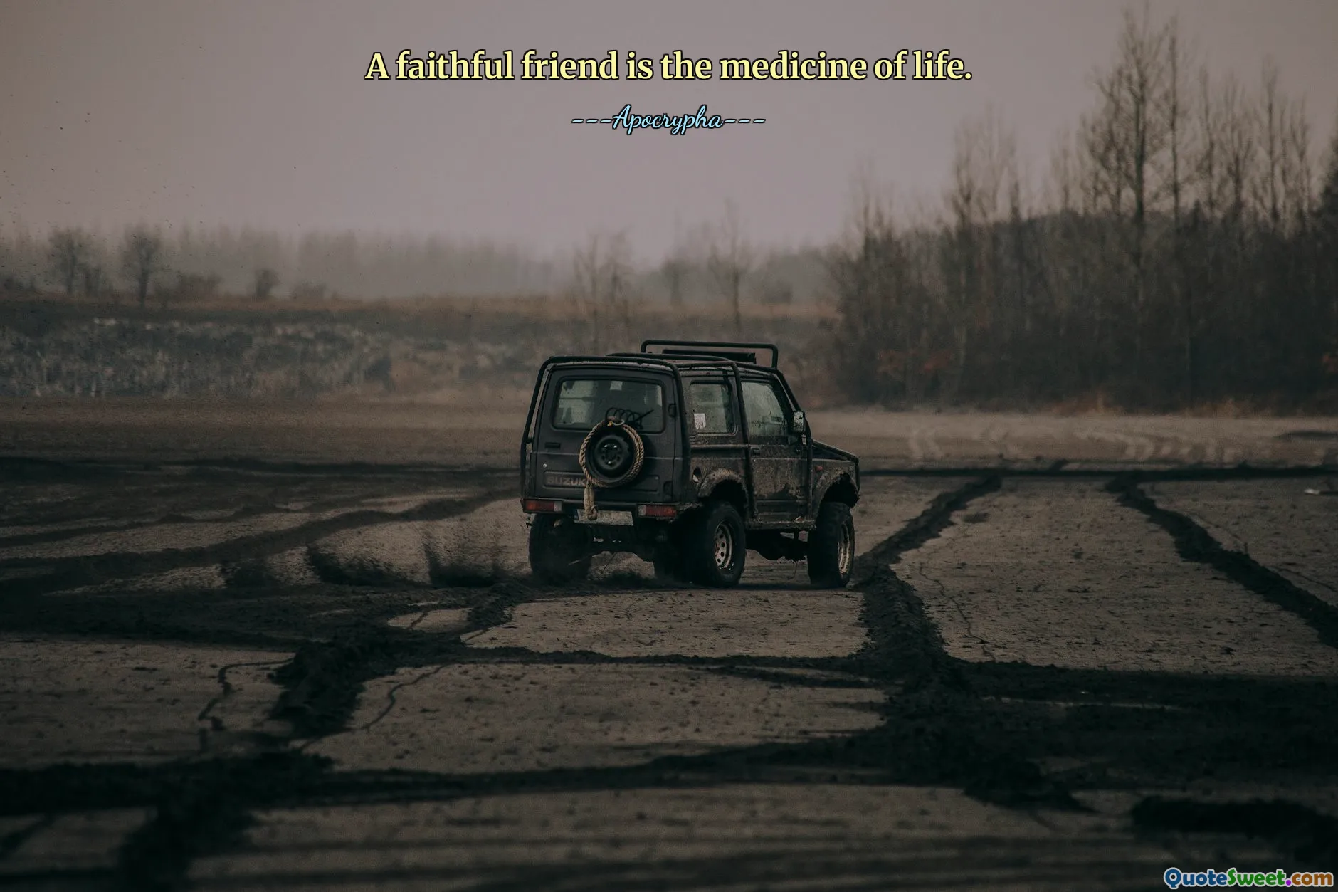 A faithful friend is the medicine of life.