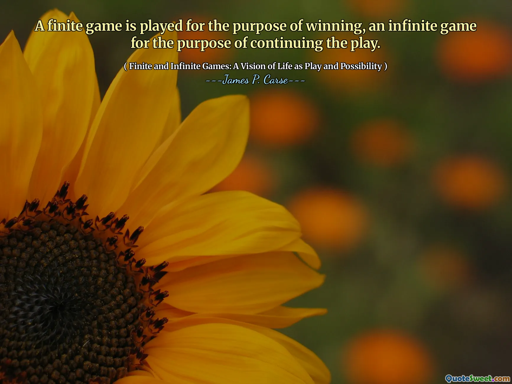 A finite game is played for the purpose of winning, an infinite game for the purpose of continuing the play.