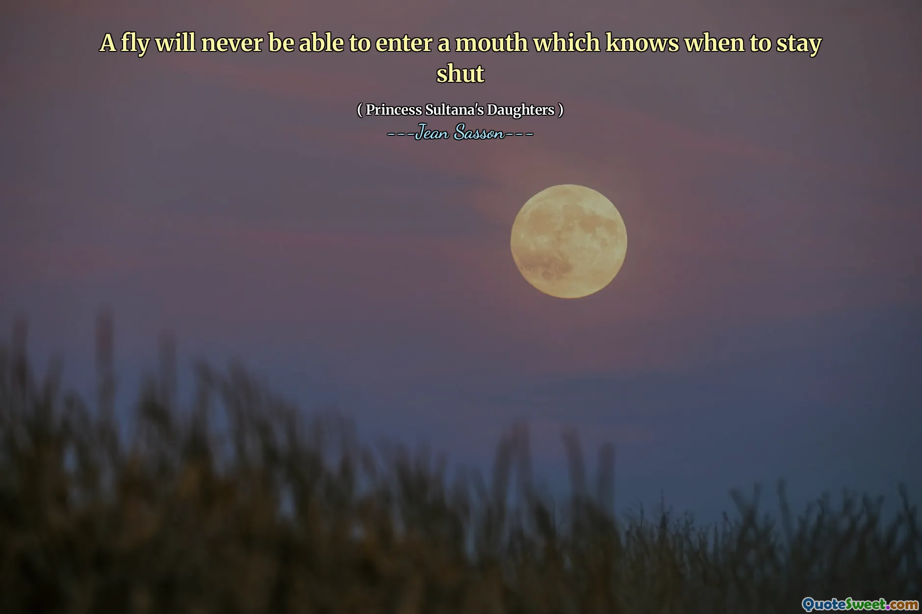 A fly will never be able to enter a mouth which knows when to stay shut