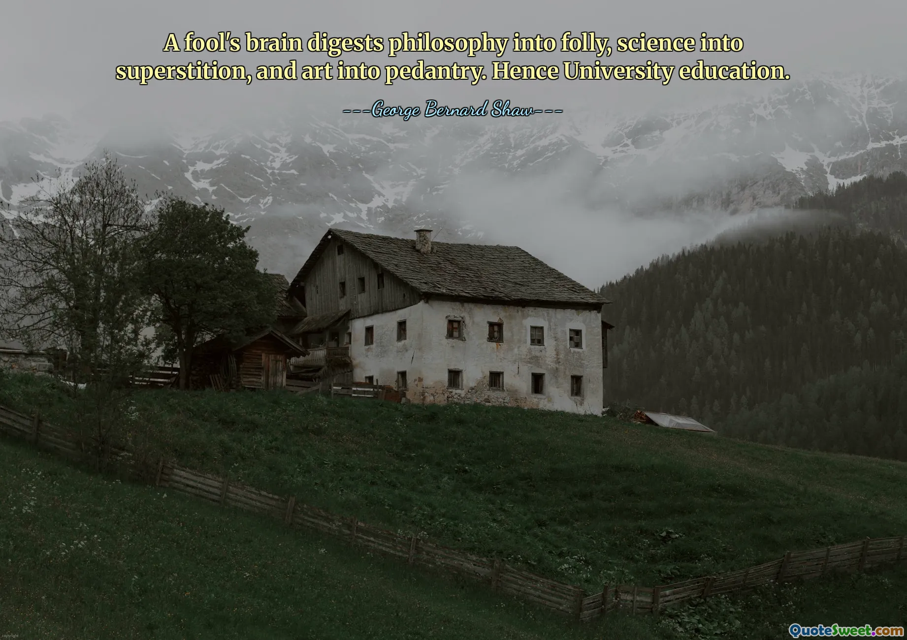 Мозг дурака превращает философию в глупость, науку в суеверие, искусство в педантизм. Отсюда и университетское образование.