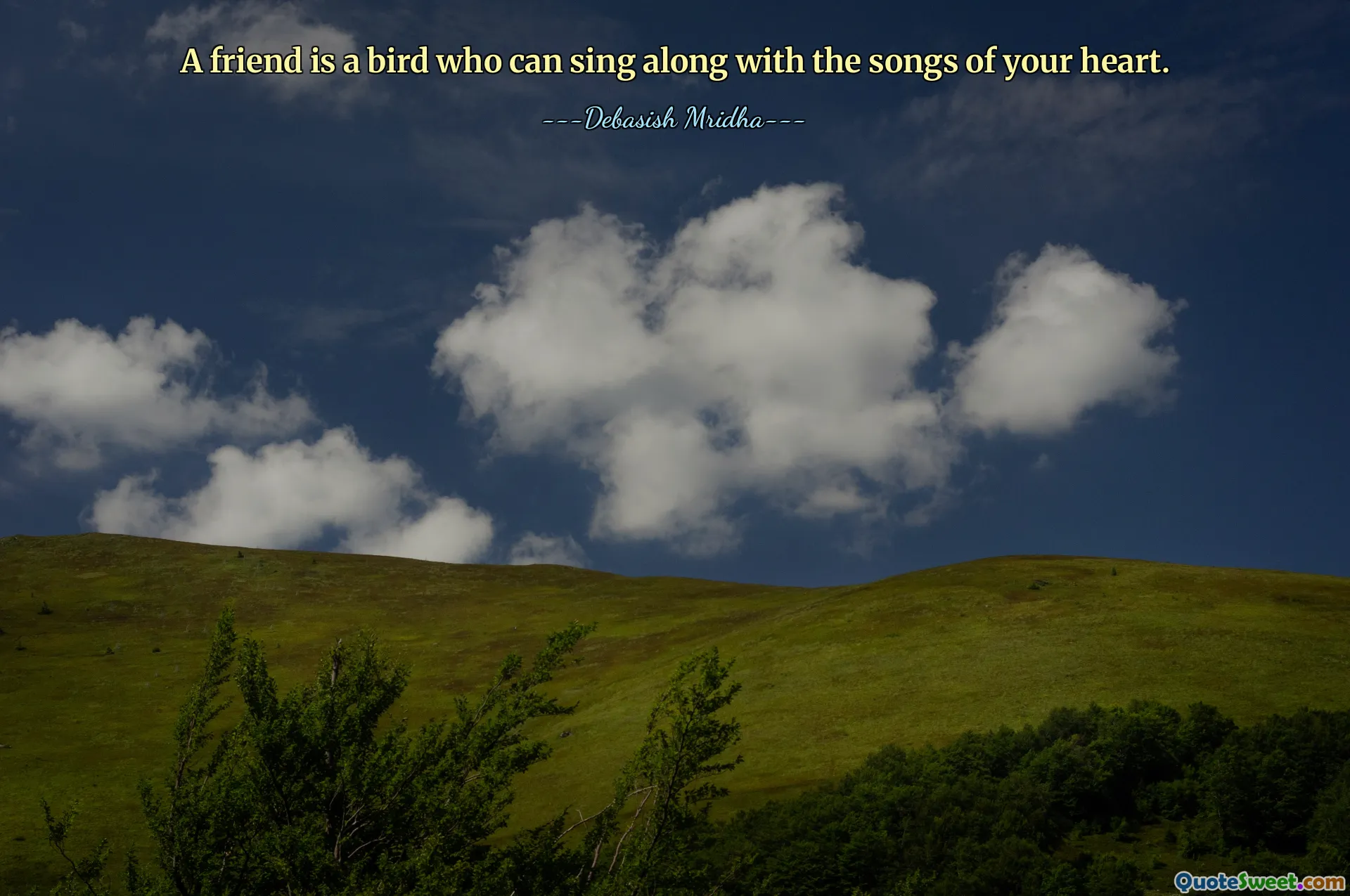 A friend is a bird who can sing along with the songs of your heart.