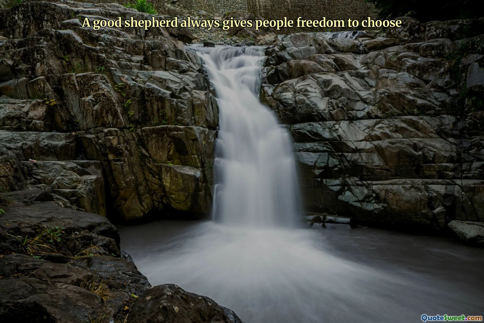 A good shepherd always gives people freedom to choose