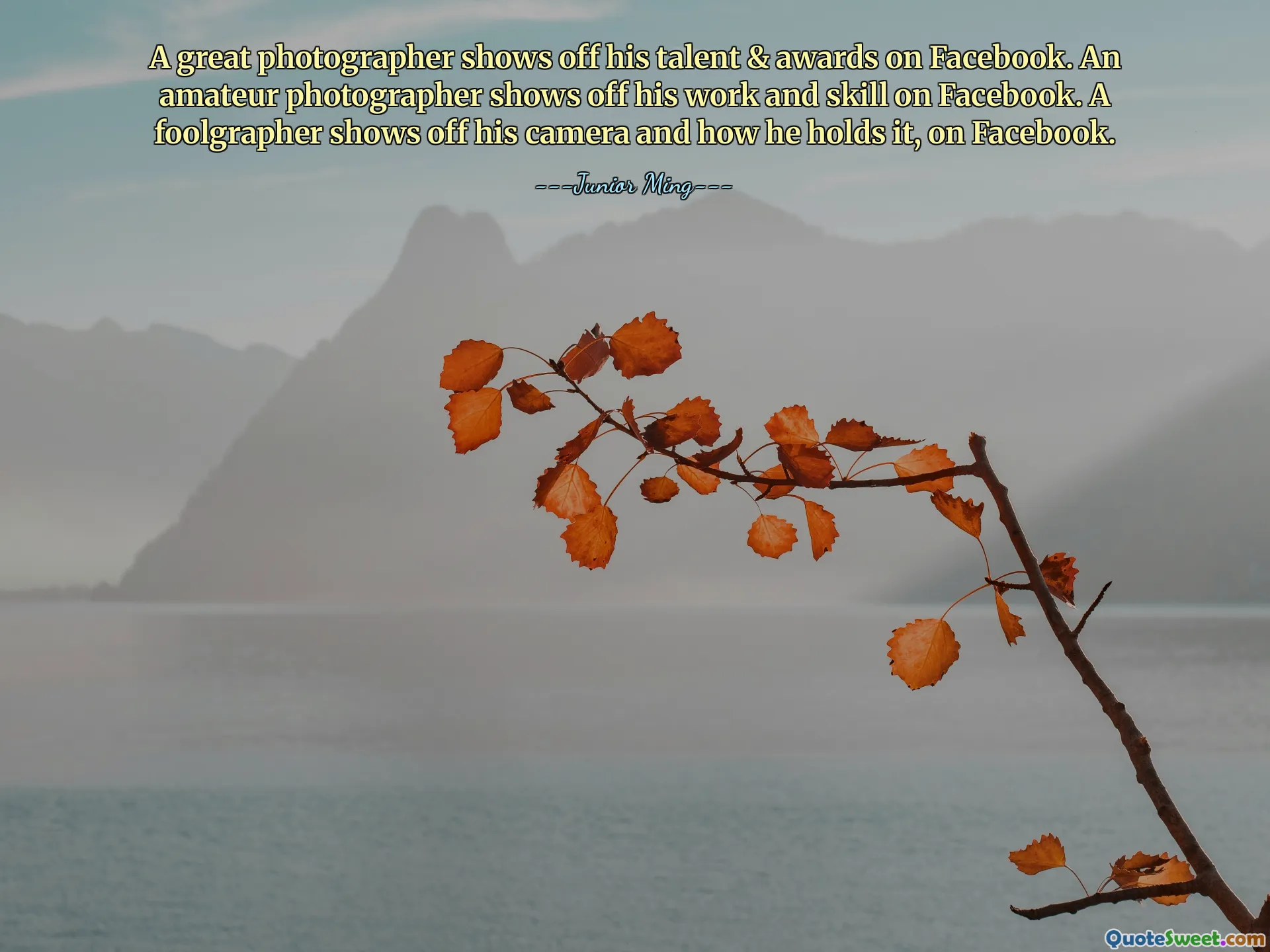 A great photographer shows off his talent & awards on Facebook. An amateur photographer shows off his work and skill on Facebook. A foolgrapher shows off his camera and how he holds it, on Facebook.