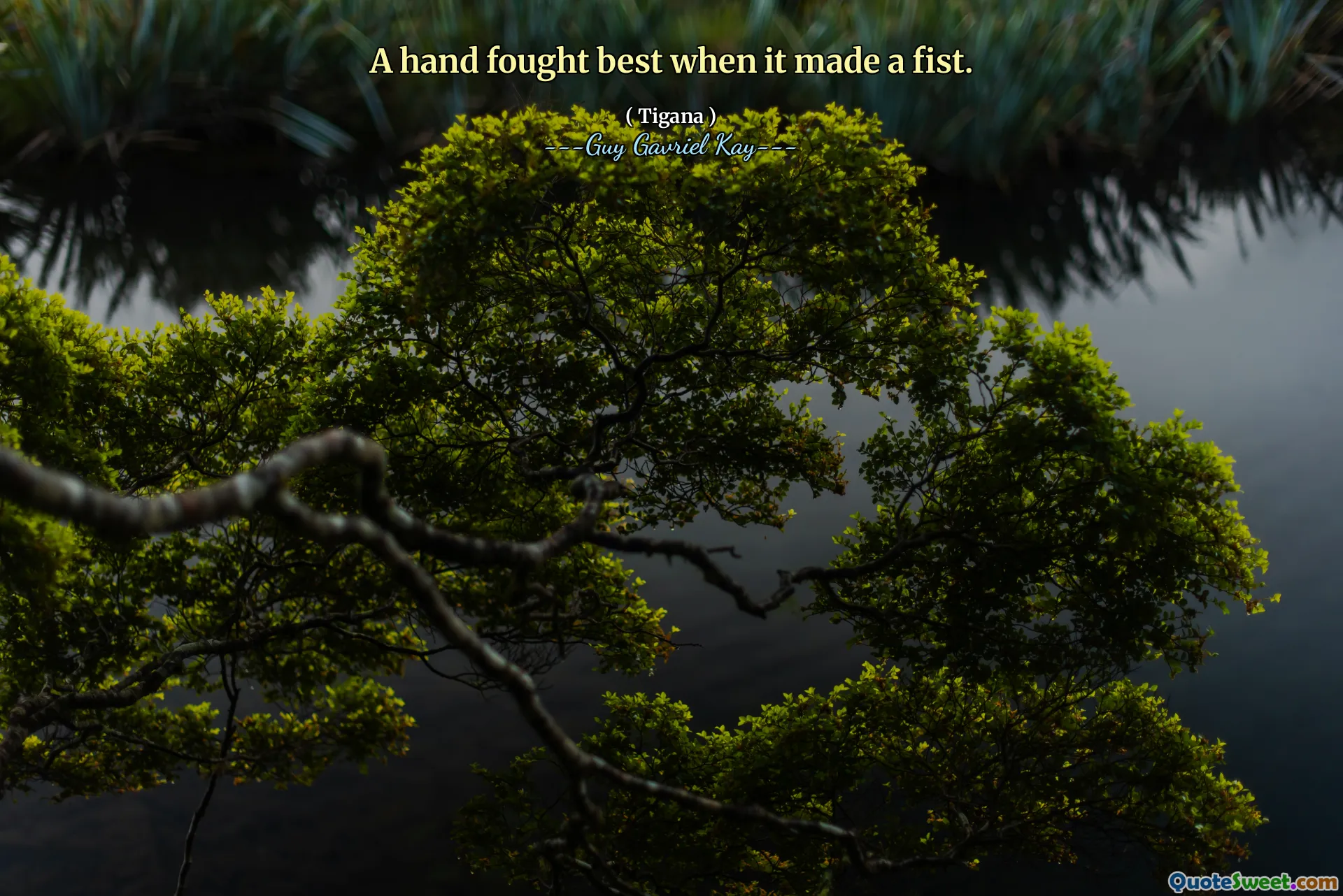 A hand fought best when it made a fist.