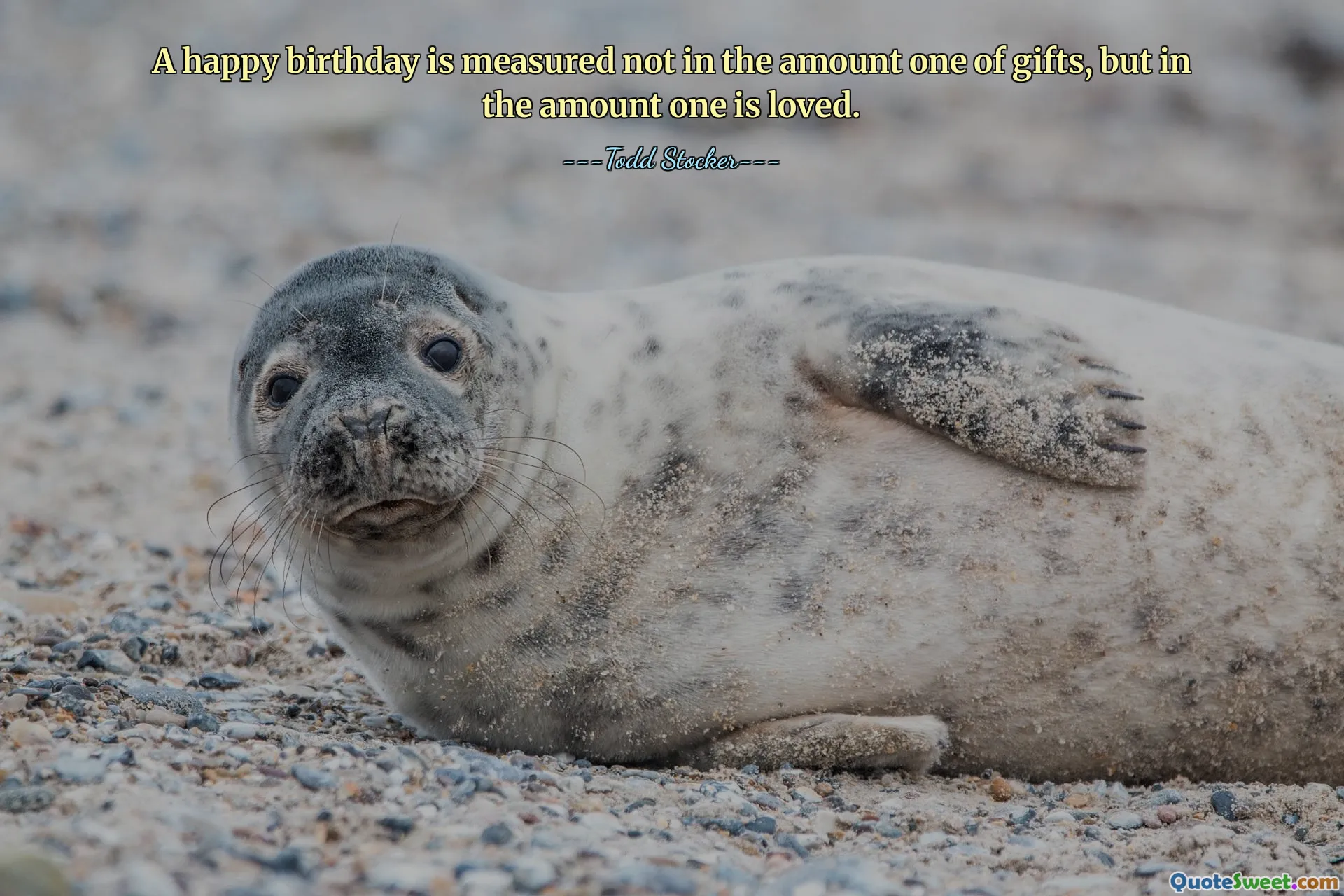 A happy birthday is measured not in the amount one of gifts, but in the amount one is loved.