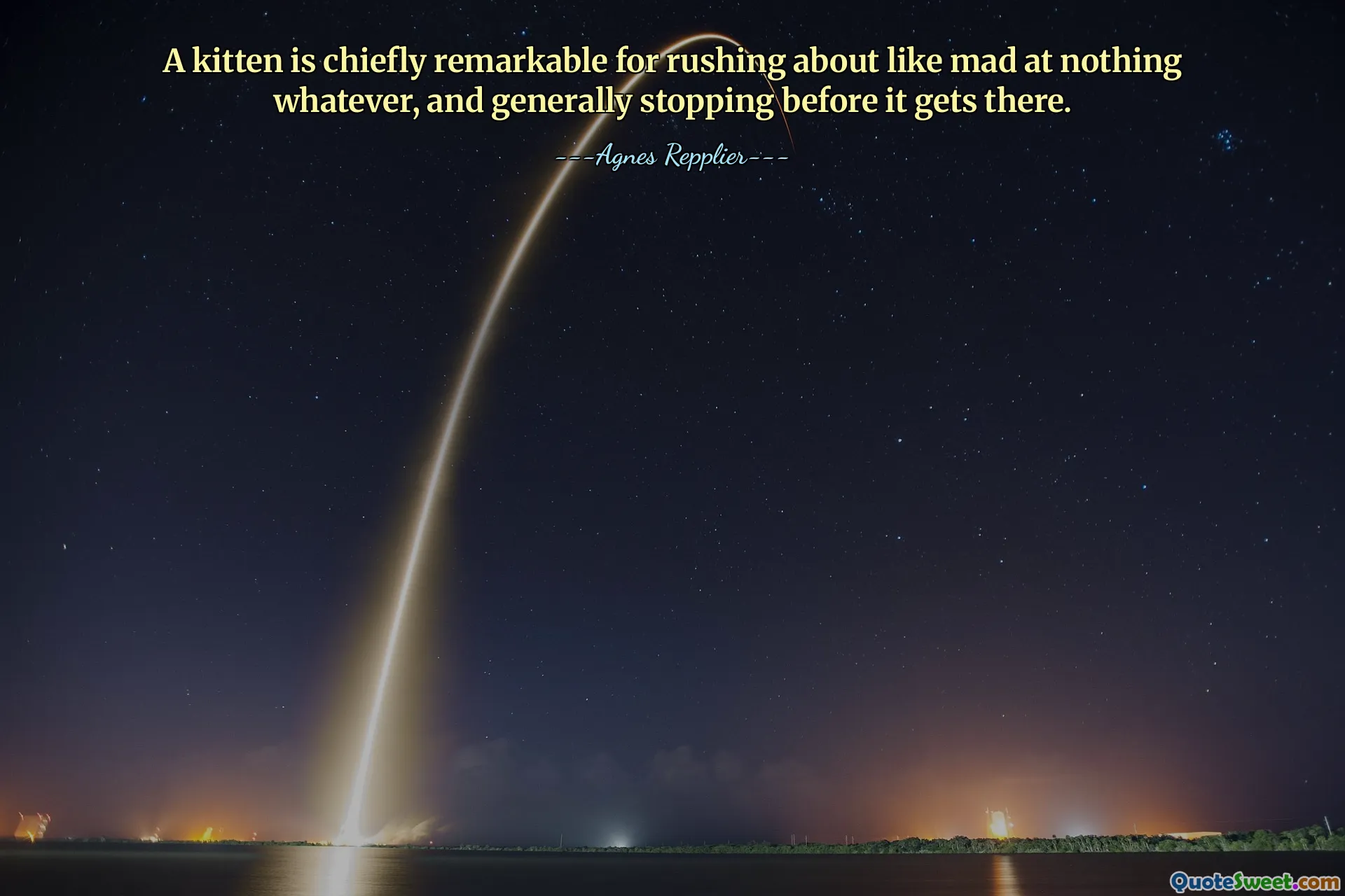 A kitten is chiefly remarkable for rushing about like mad at nothing whatever, and generally stopping before it gets there.