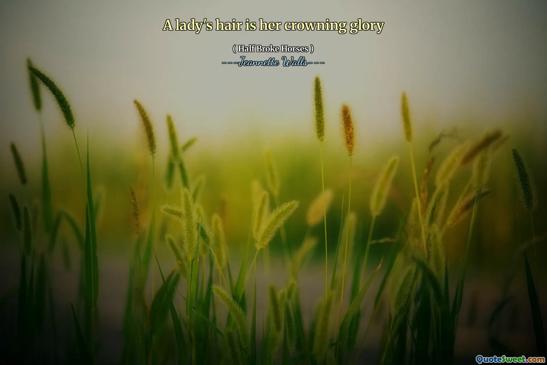 Les cheveux d'une dame sont sa couronne gloire