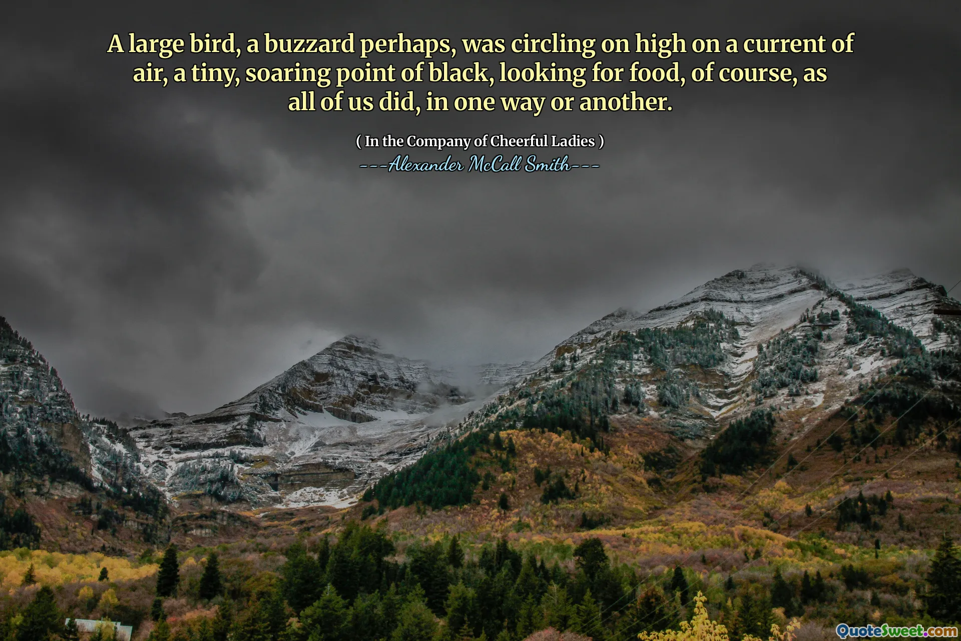 A large bird, a buzzard perhaps, was circling on high on a current of air, a tiny, soaring point of black, looking for food, of course, as all of us did, in one way or another.