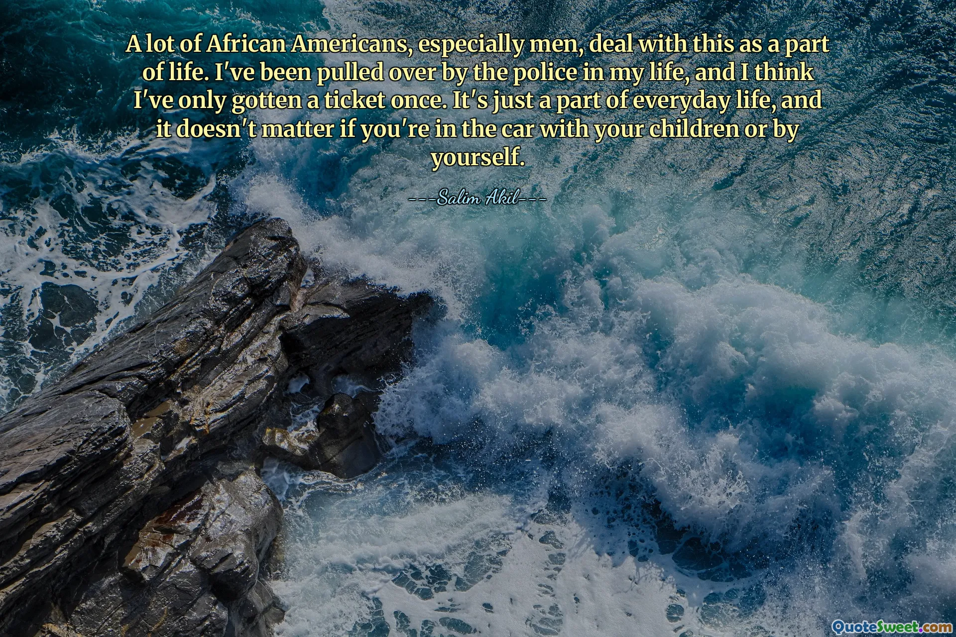 ბევრი აფროამერიკელი, განსაკუთრებით მამაკაცები, ამას ცხოვრების ნაწილად ექცევიან. ჩემს ცხოვრებაში პოლიციამ გამომიყვანა და მგონი მხოლოდ ერთხელ ავიღე ბილეთი. ეს მხოლოდ ყოველდღიური ცხოვრების ნაწილია და არ აქვს მნიშვნელობა მანქანაში ბავშვებთან ერთად იმყოფებით თუ მარტო.