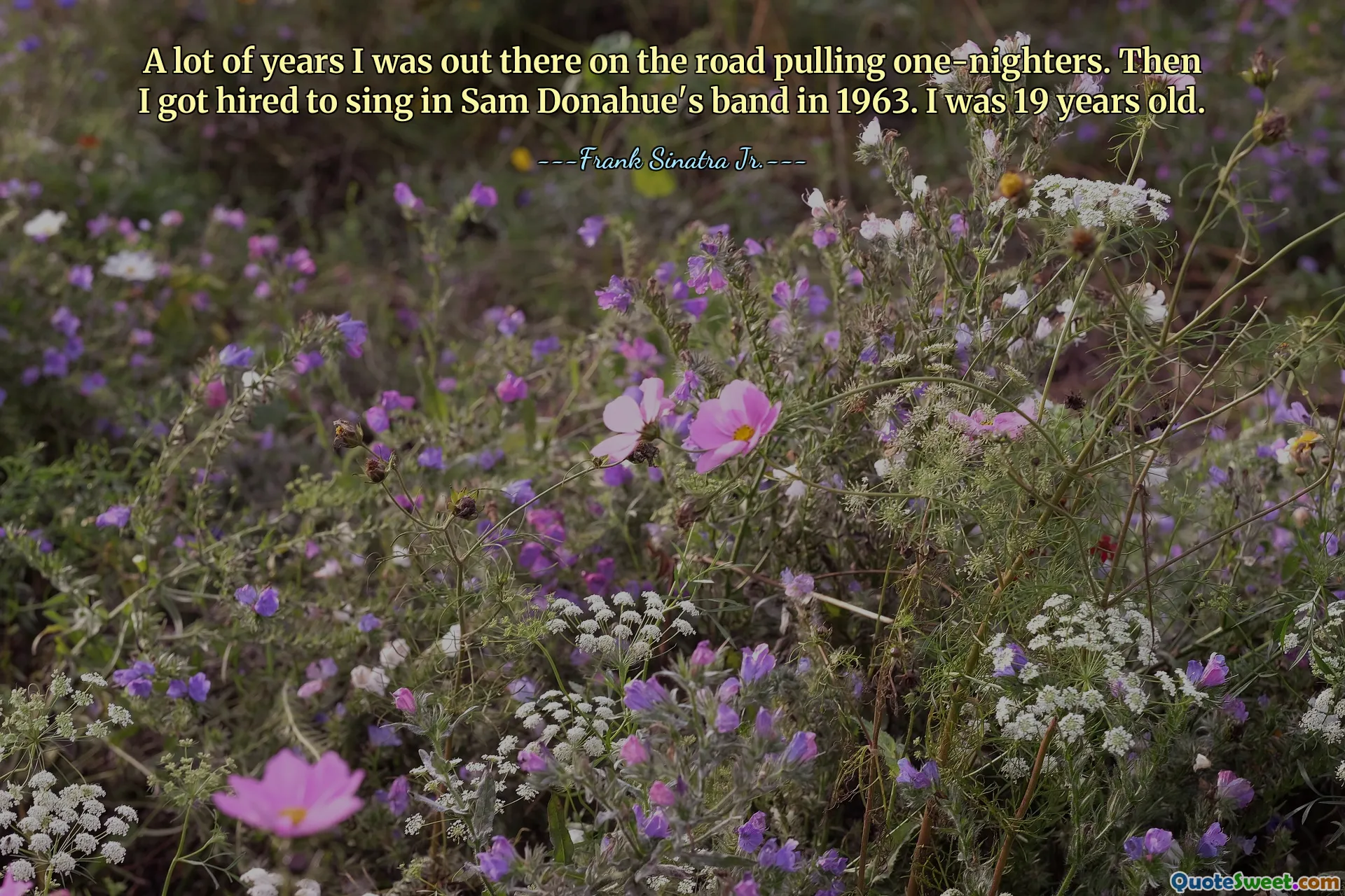 A lot of years I was out there on the road pulling one-nighters. Then I got hired to sing in Sam Donahue's band in 1963. I was 19 years old.