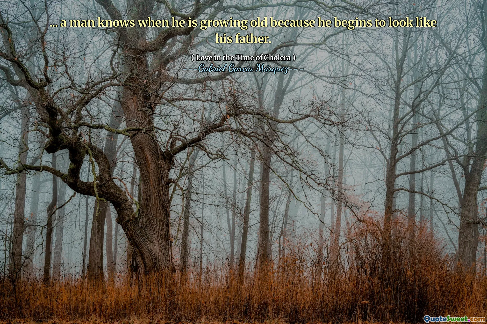 ... a man knows when he is growing old because he begins to look like his father.