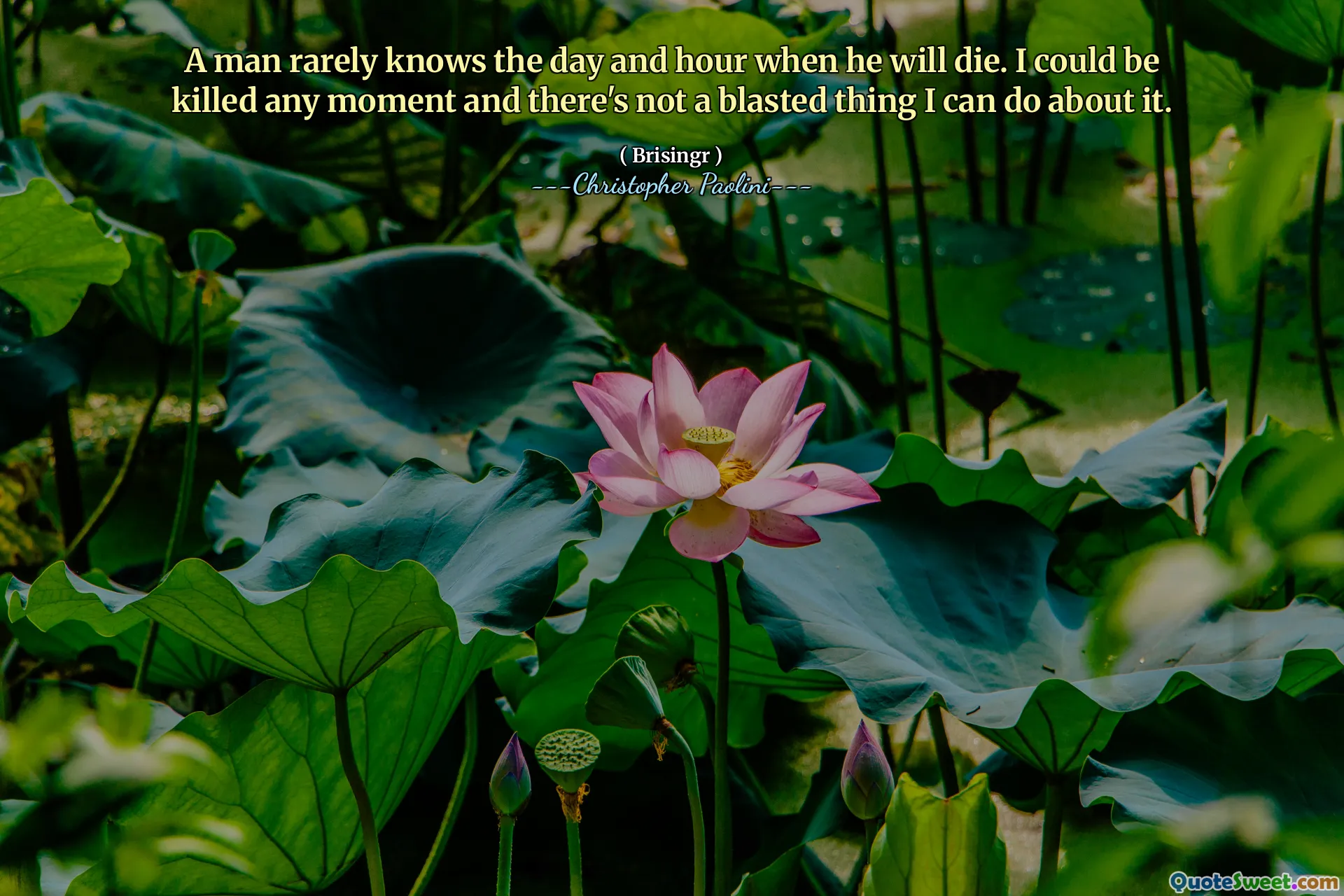 A man rarely knows the day and hour when he will die. I could be killed any moment and there's not a blasted thing I can do about it.