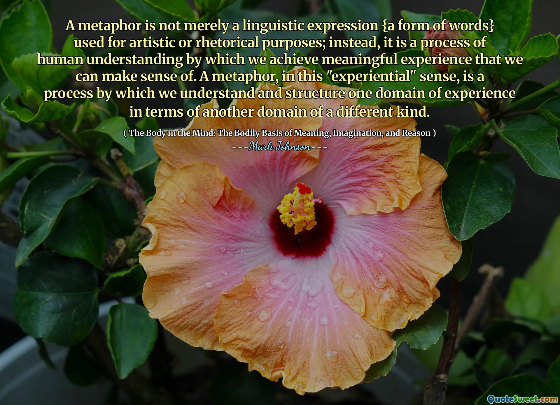 A metaphor is not merely a linguistic expression {a form of words} used for artistic or rhetorical purposes; instead, it is a process of human understanding by which we achieve meaningful experience that we can make sense of. A metaphor, in this "experiential" sense, is a process by which we understand and structure one domain of experience in terms of another domain of a different kind.