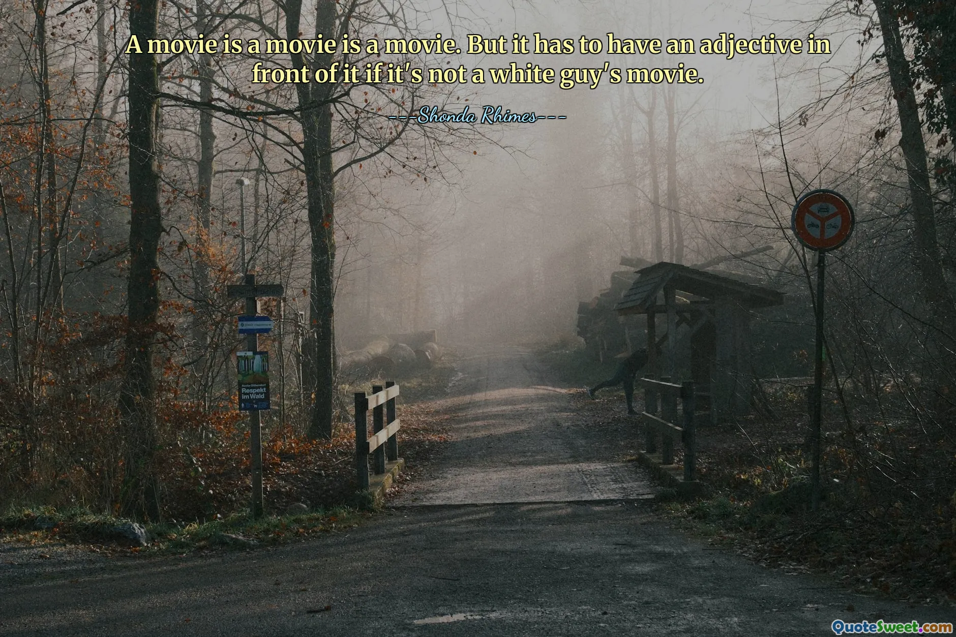 A movie is a movie is a movie. But it has to have an adjective in front of it if it's not a white guy's movie.