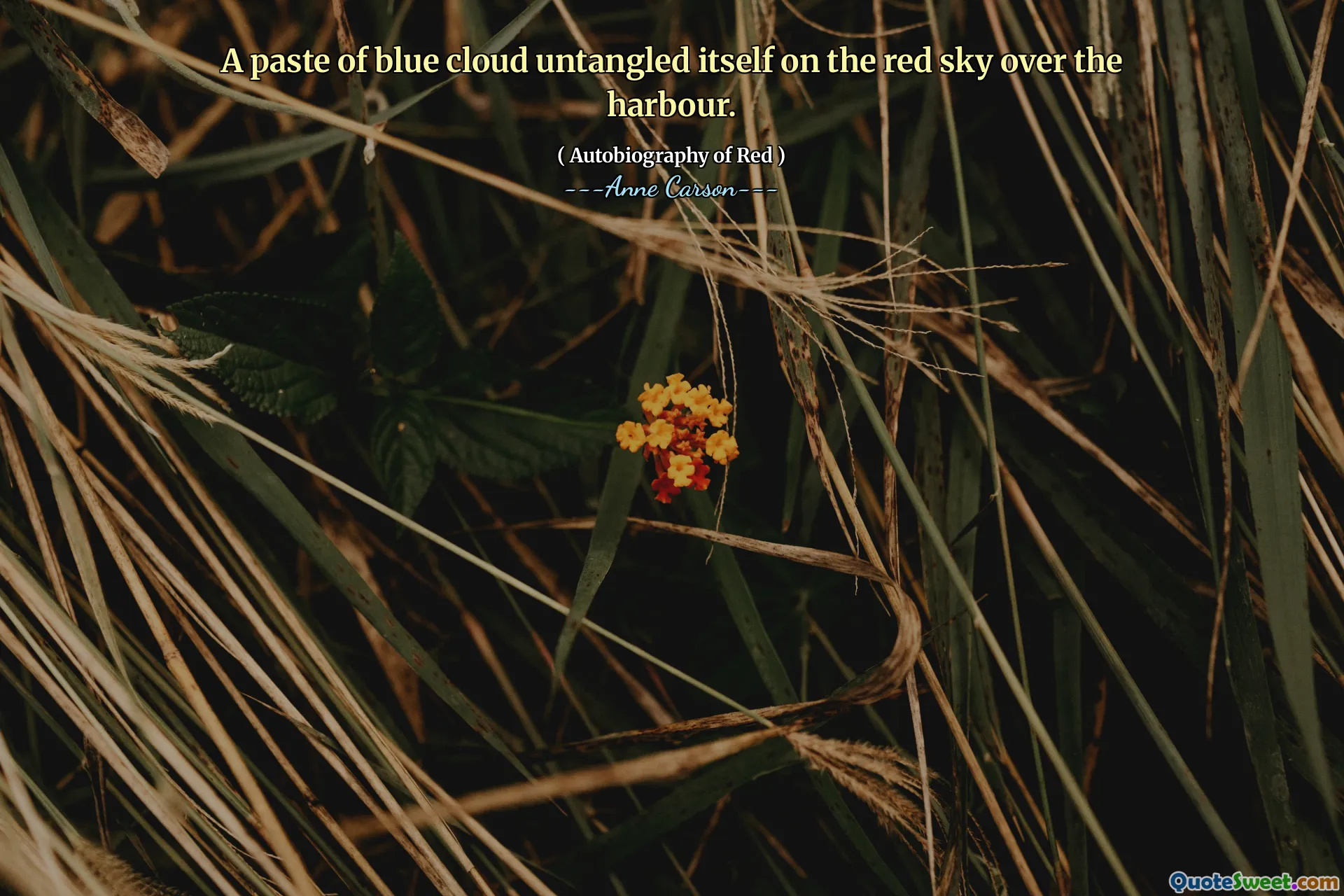 A paste of blue cloud untangled itself on the red sky over the harbour.