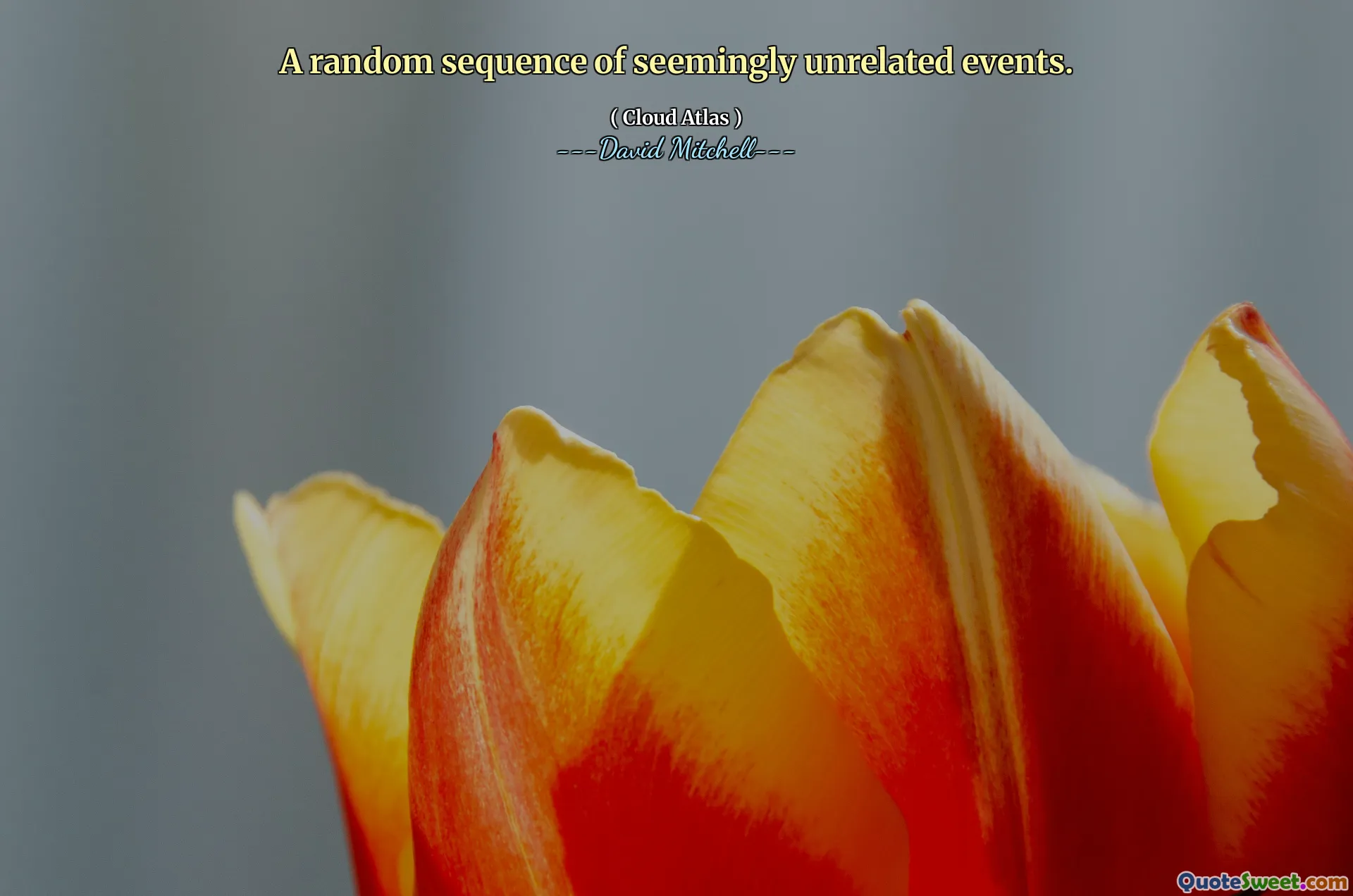 看似无关的事件的随机序列。