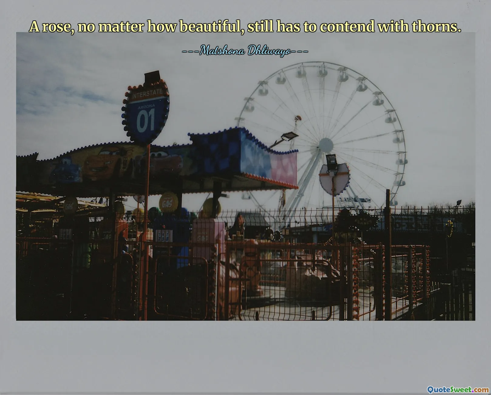 A rose, no matter how beautiful, still has to contend with thorns.