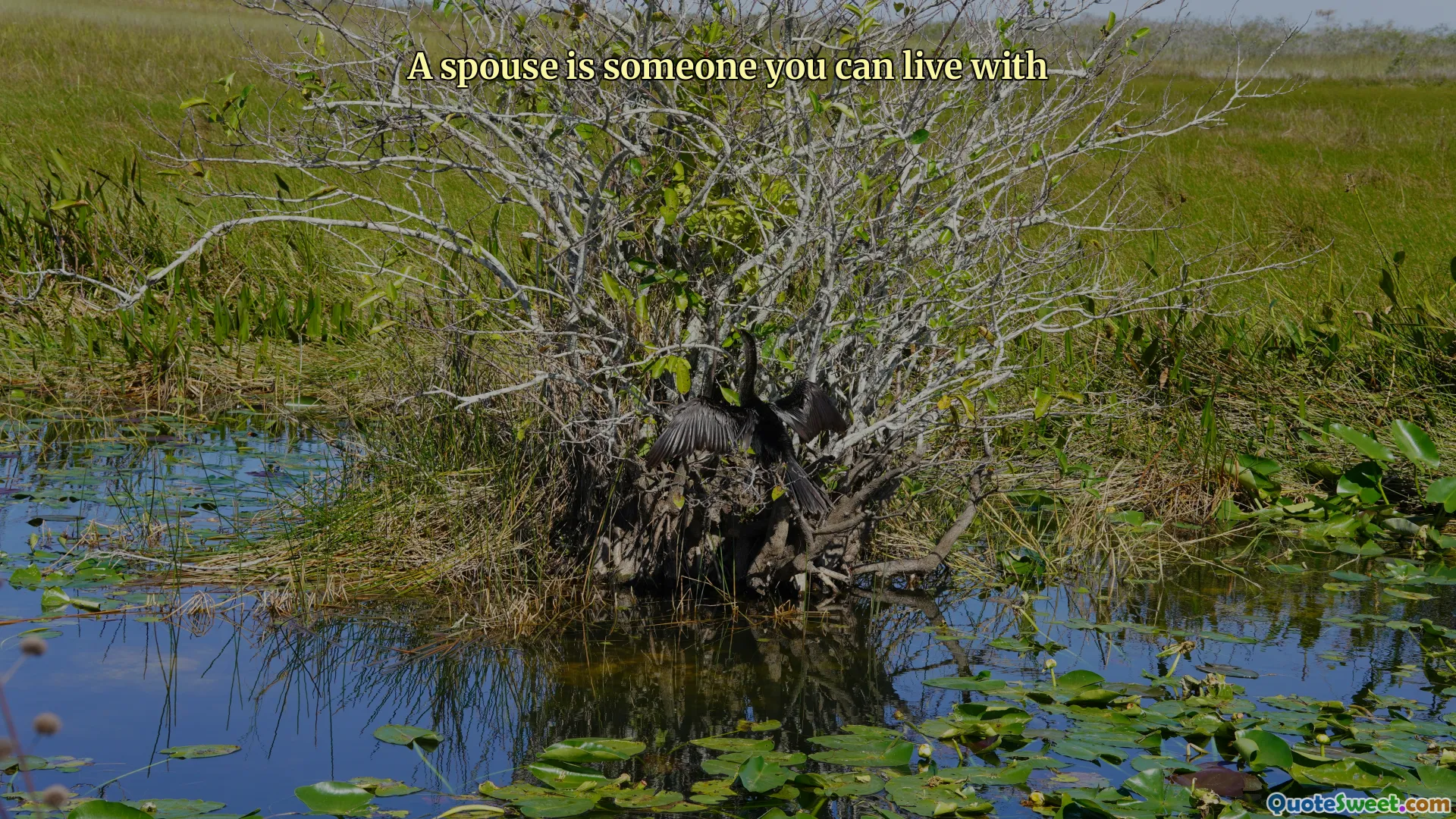 A spouse is someone you can live with