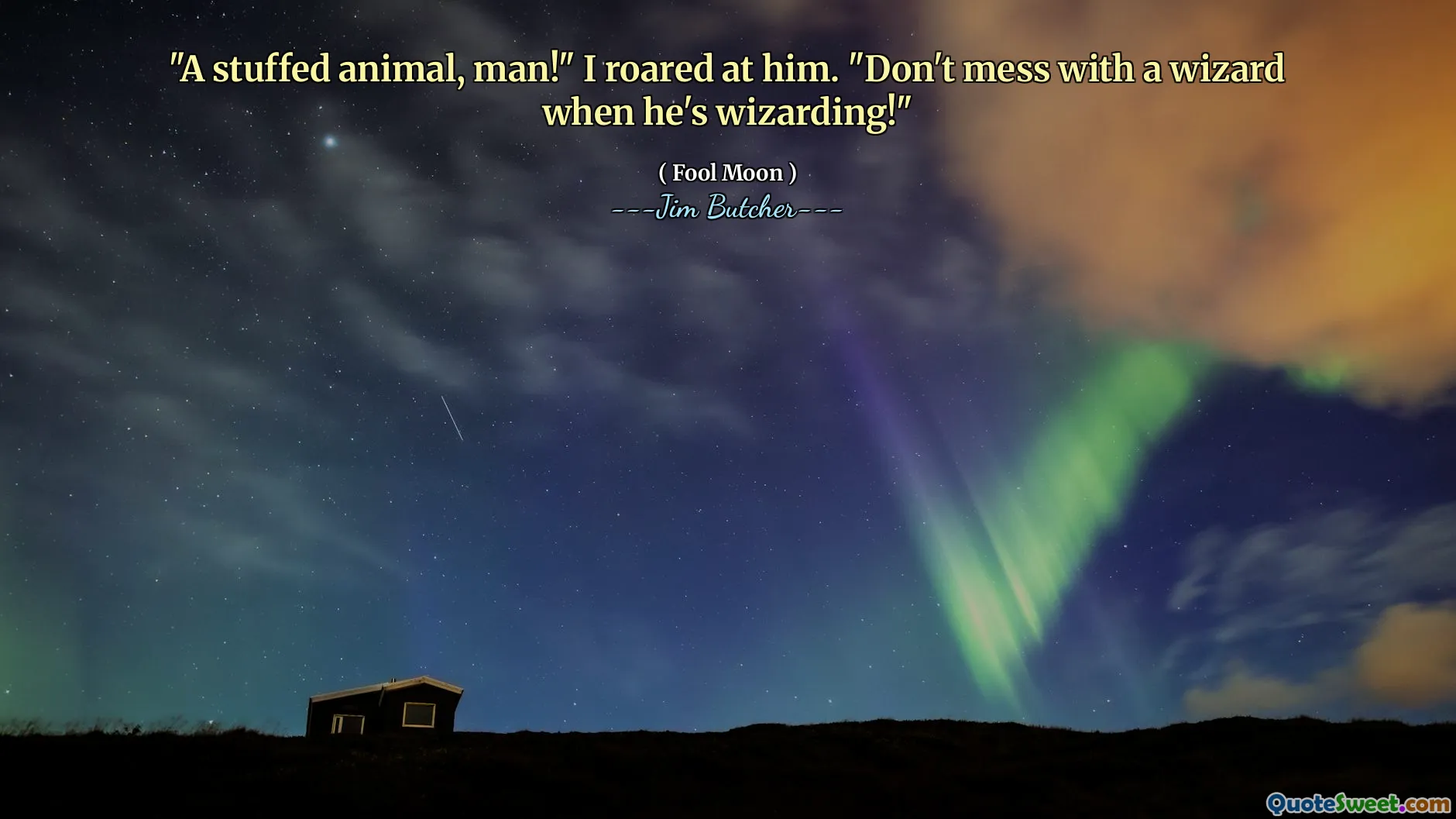 "A stuffed animal, man!" I roared at him. "Don't mess with a wizard when he's wizarding!"