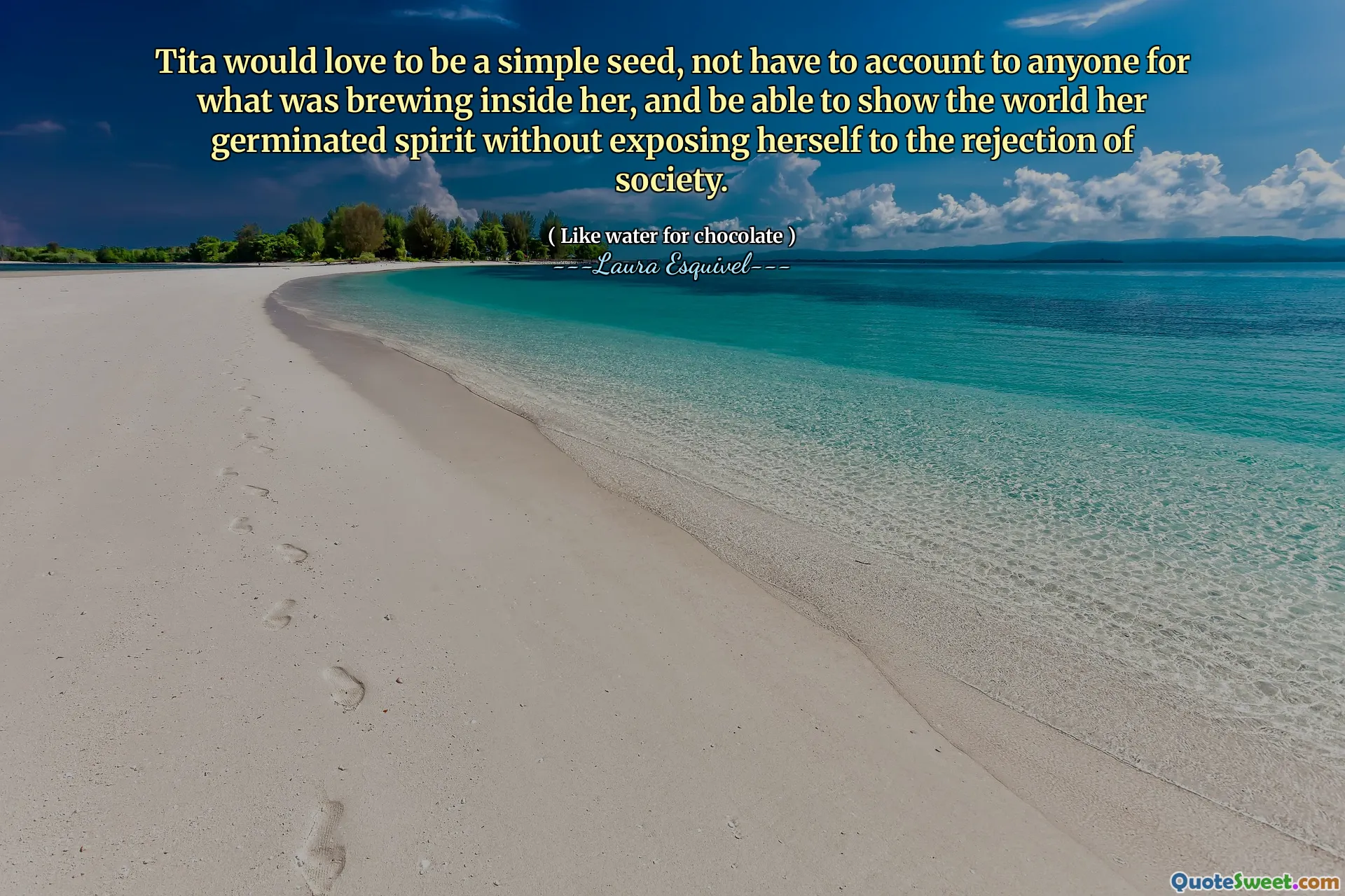 Tita would love to be a simple seed, not have to account to anyone for what was brewing inside her, and be able to show the world her germinated spirit without exposing herself to the rejection of society.