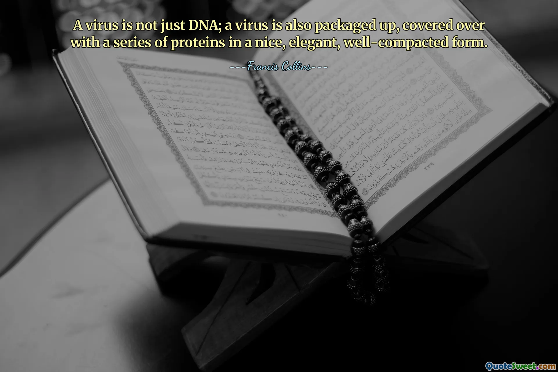 A virus is not just DNA; a virus is also packaged up, covered over with a series of proteins in a nice, elegant, well-compacted form.